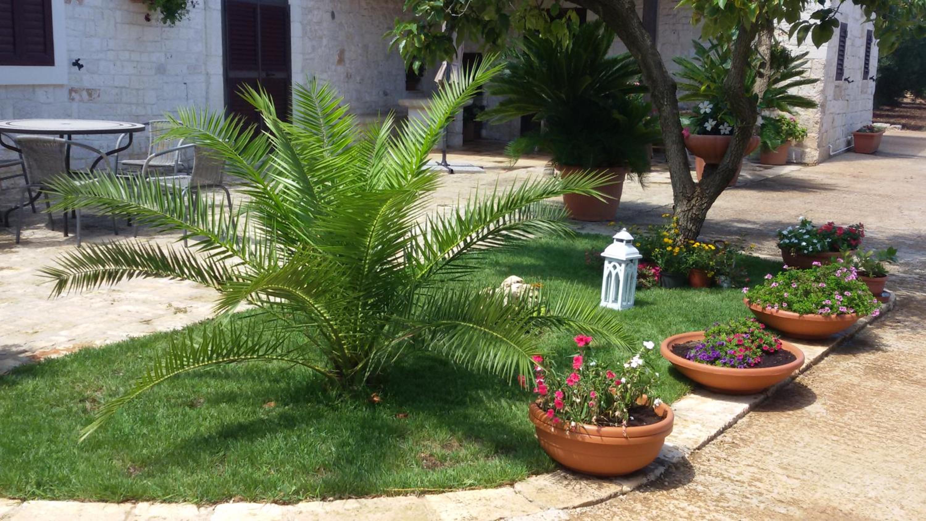 B&B La Collina Degli Ulivi