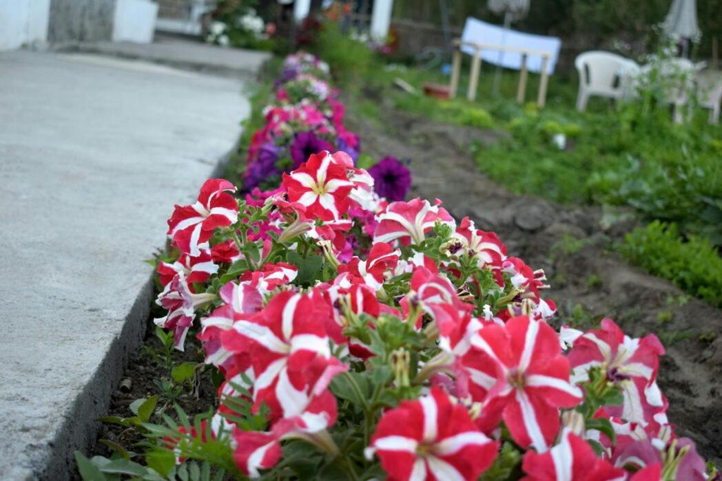 Photo 44