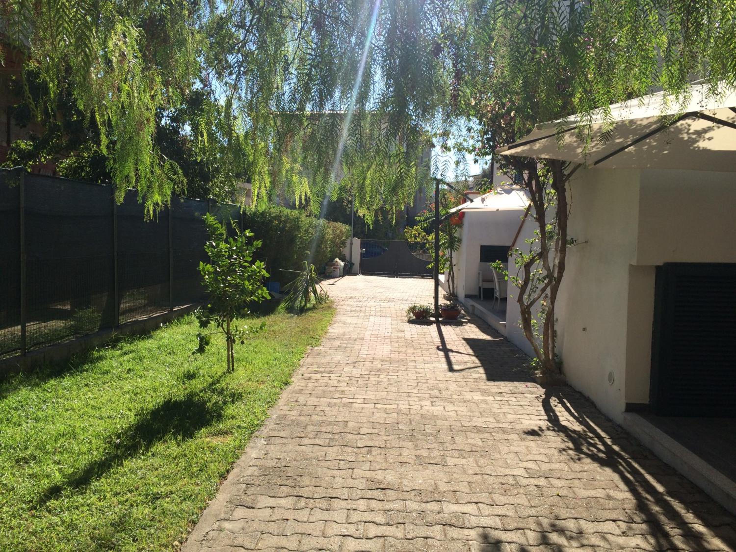 Photo 47