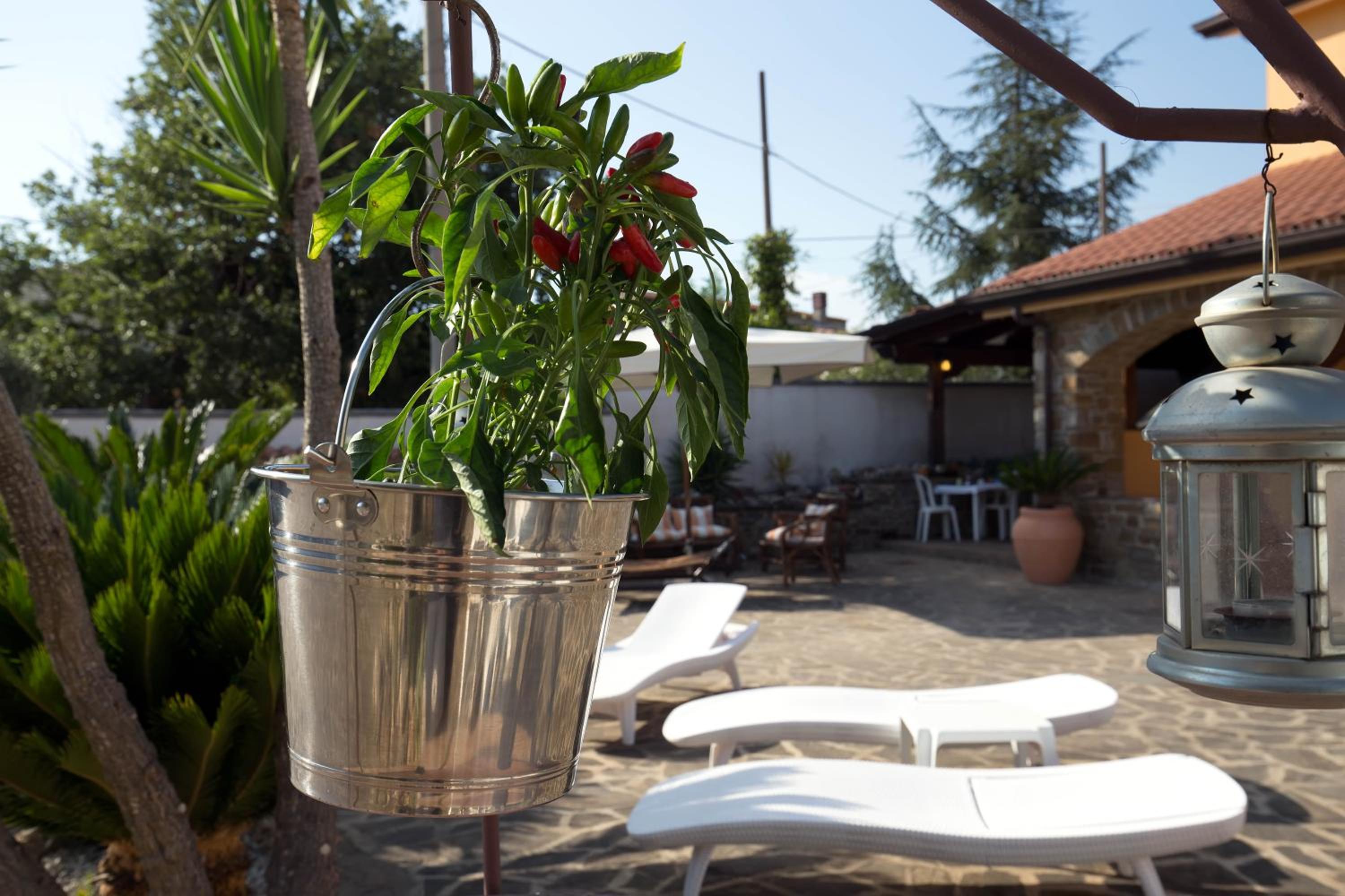 B&B Fasolino