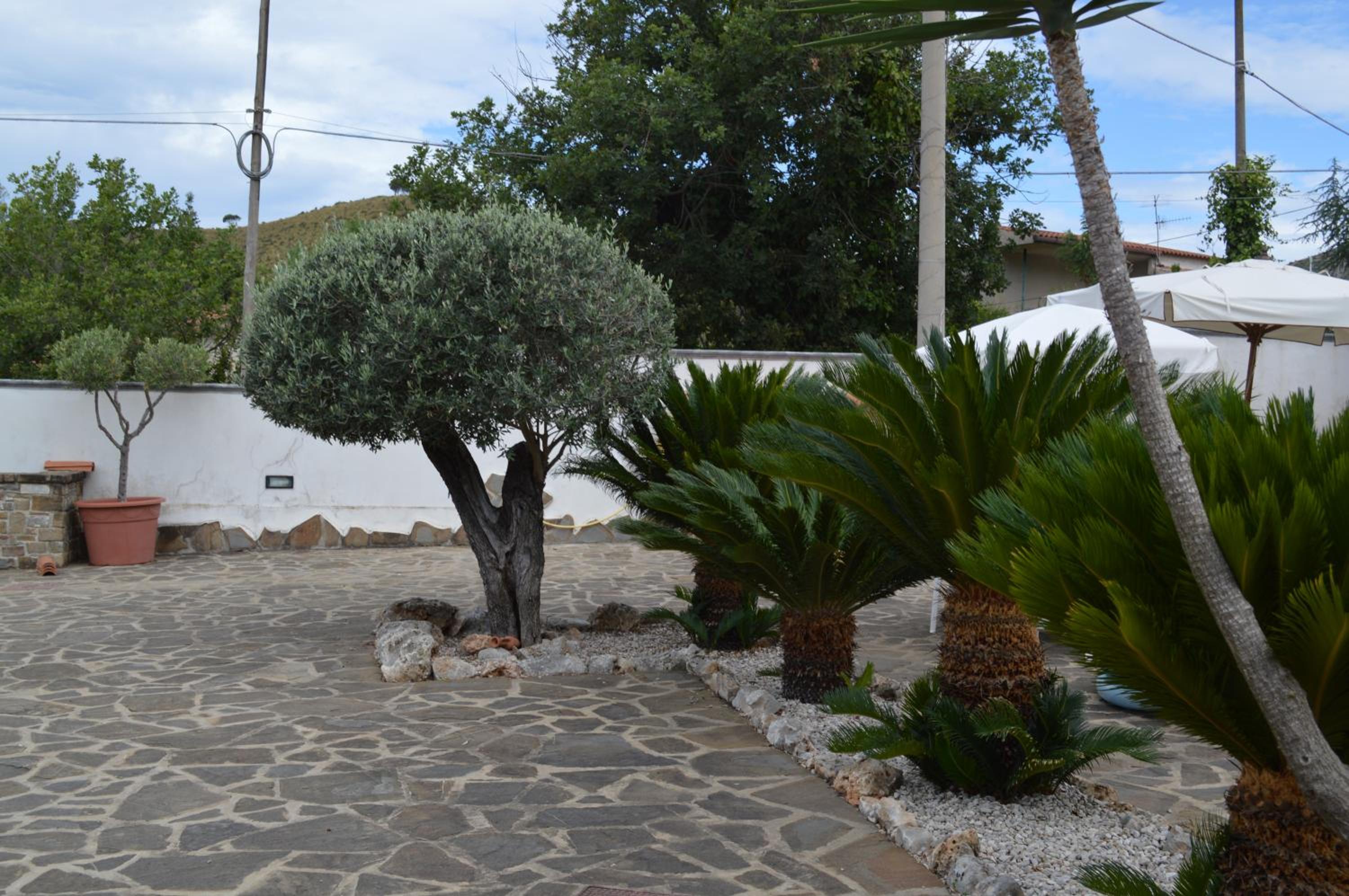 B&B Fasolino