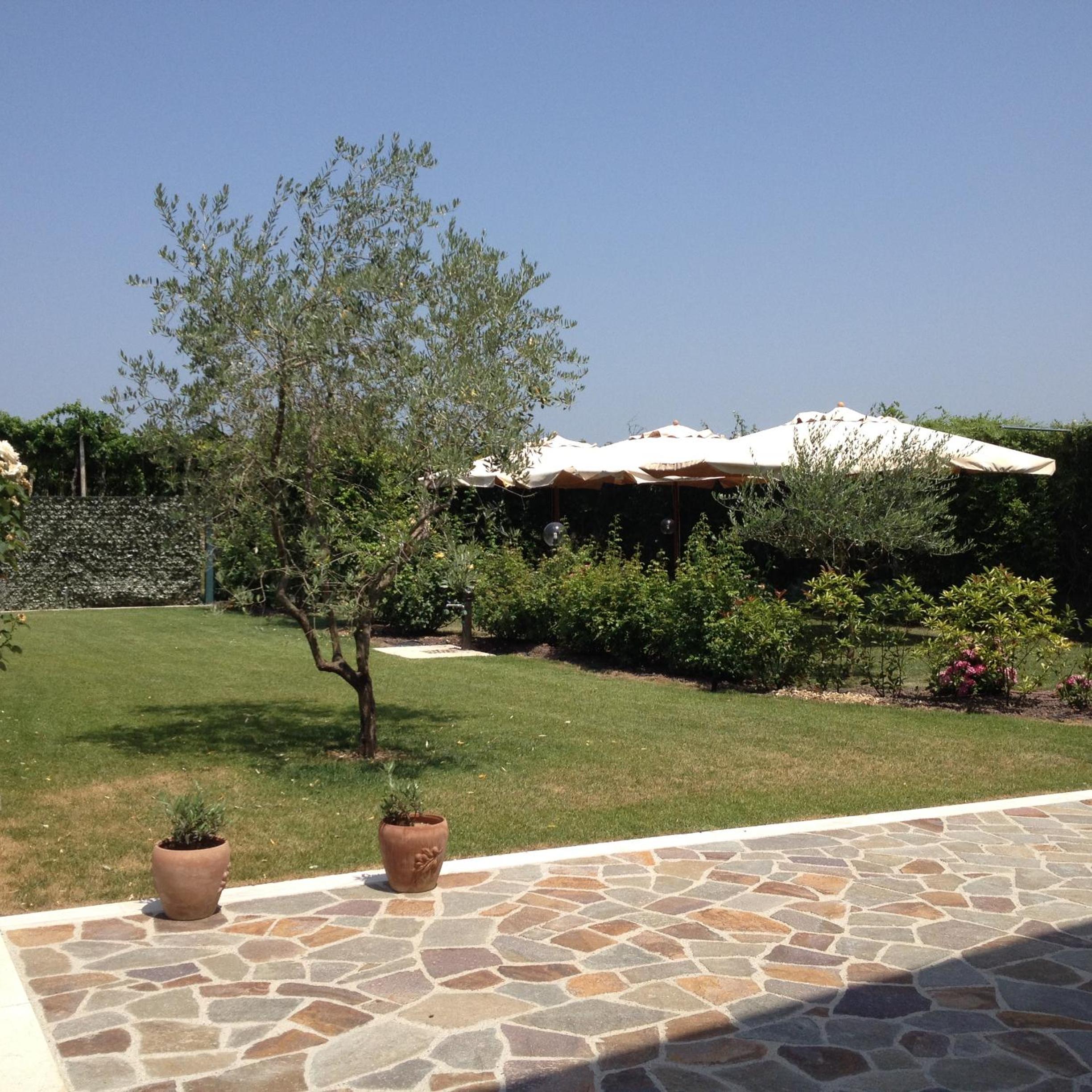 Photo 46