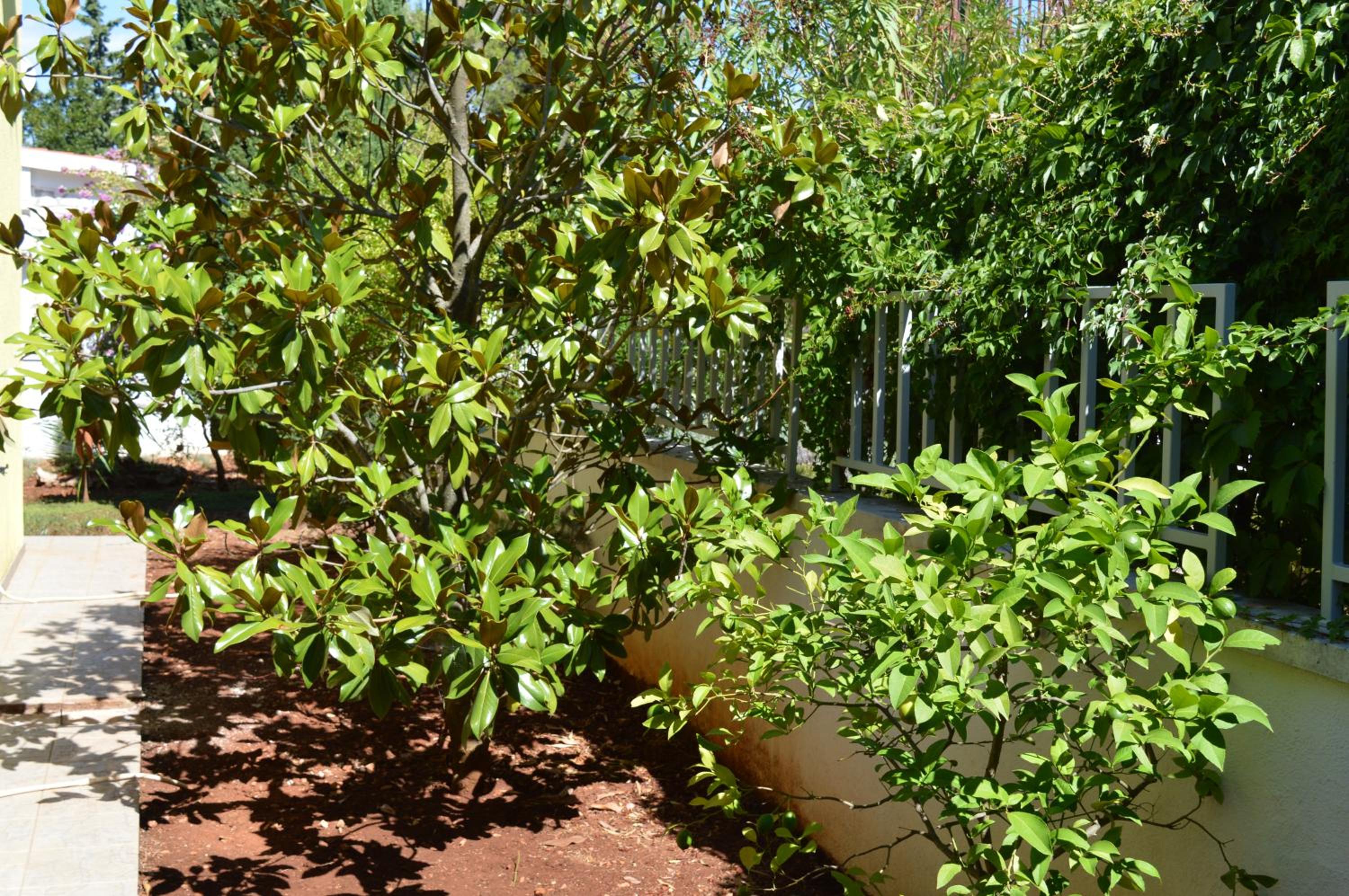 Photo 26