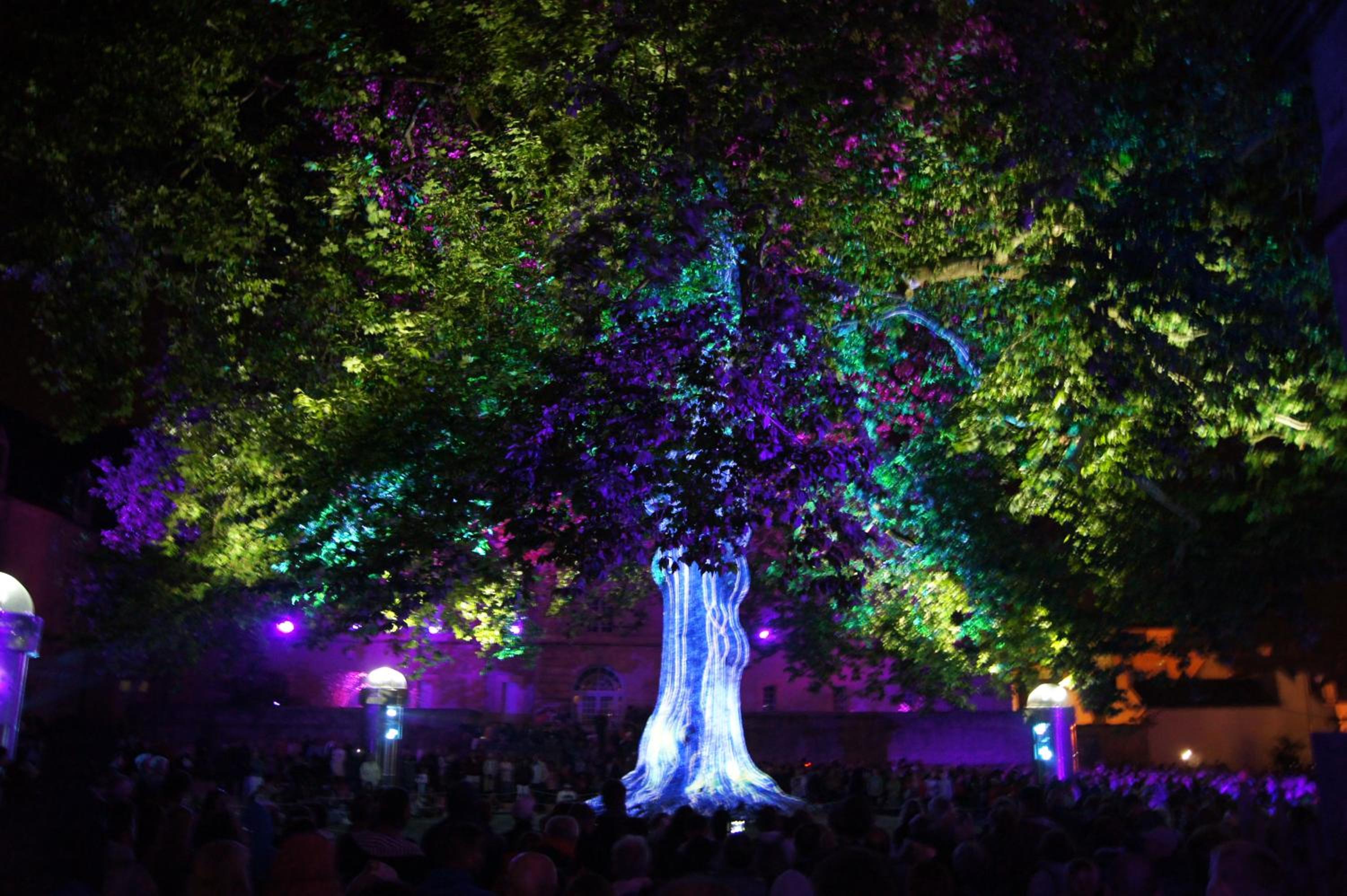 La Citadine - Property Image 11