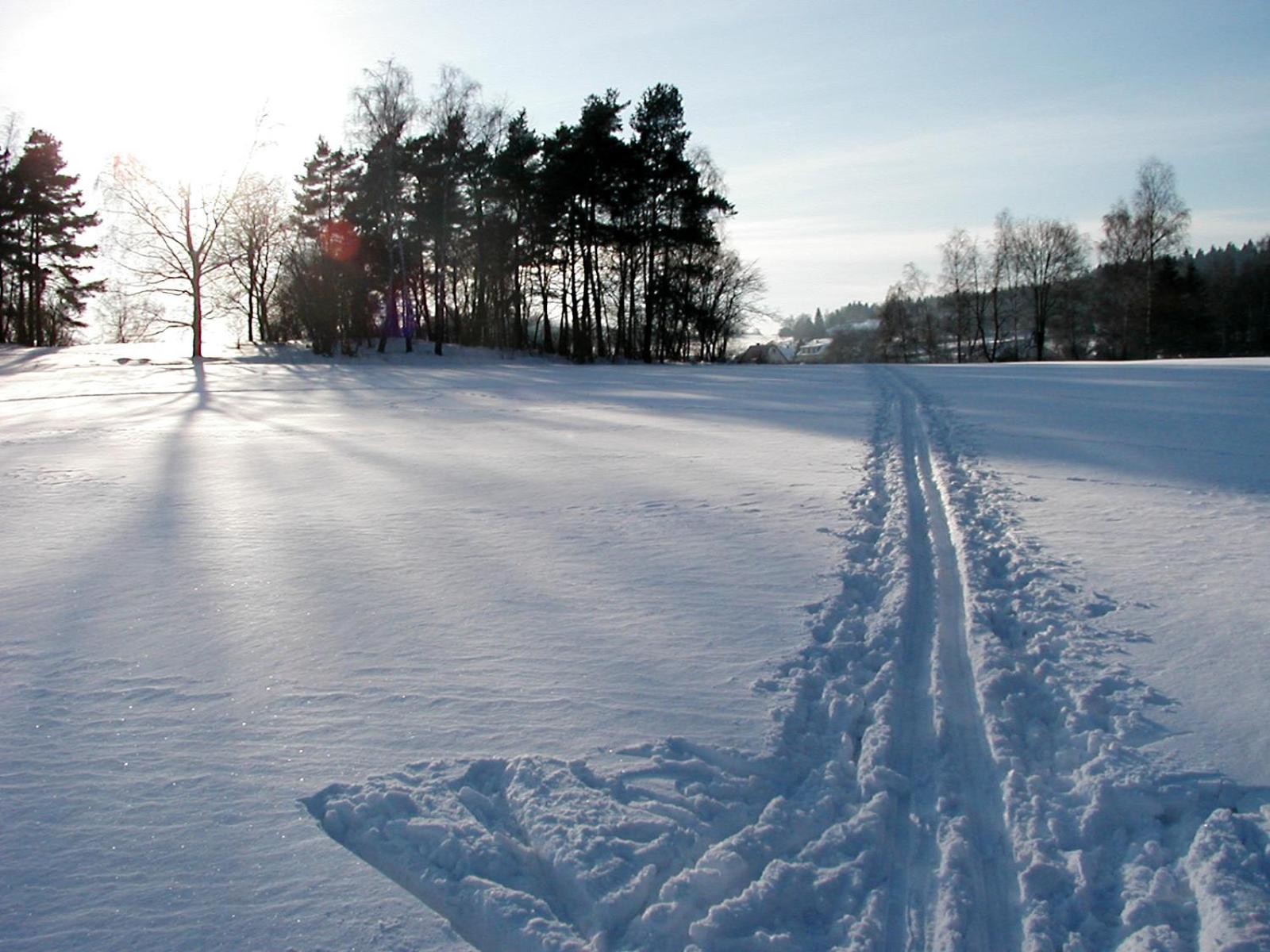 Penzion Javořice