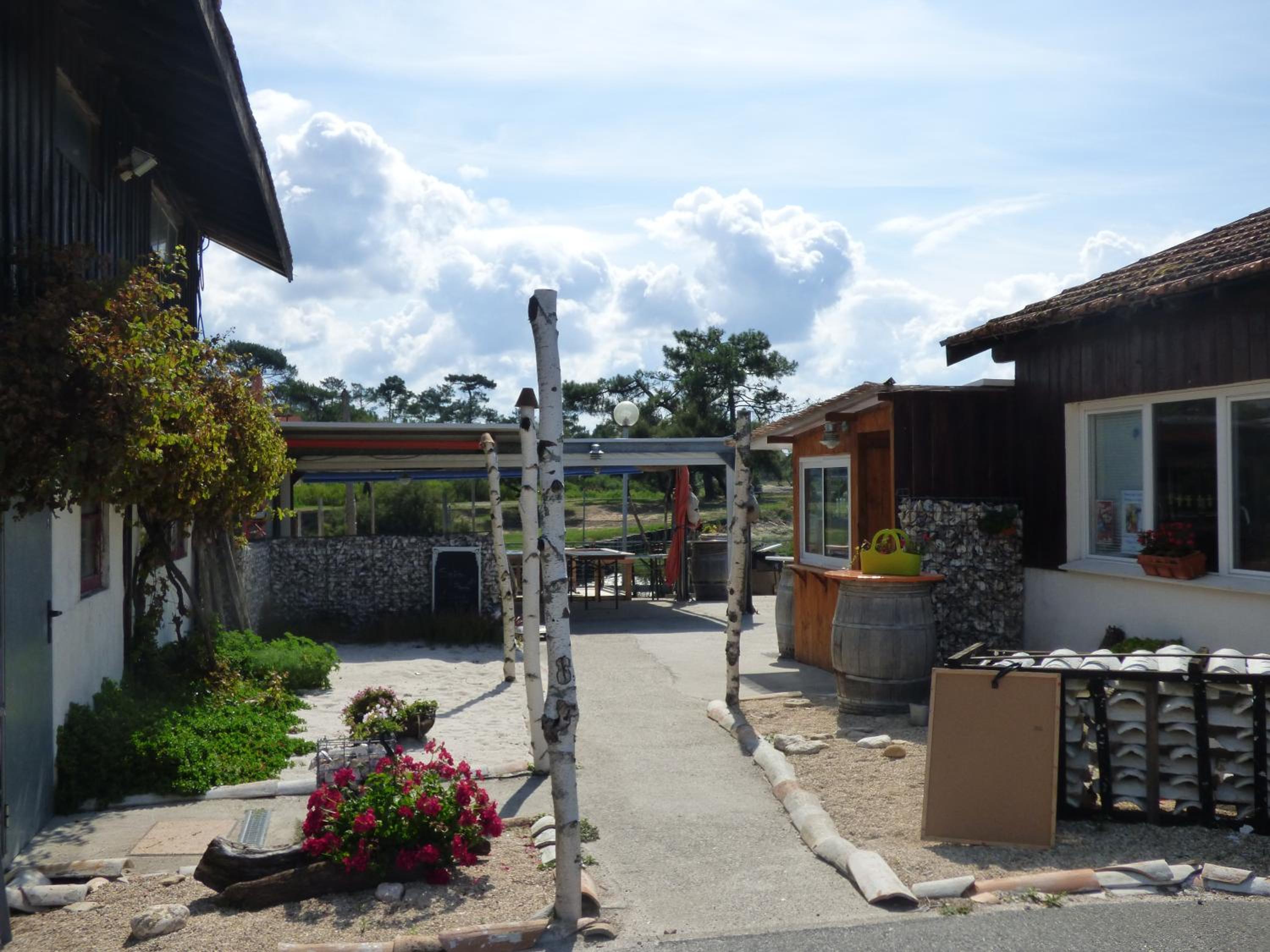 Photo 20