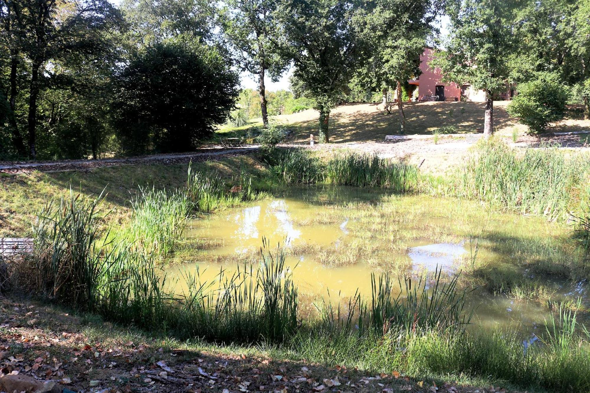 Photo 36
