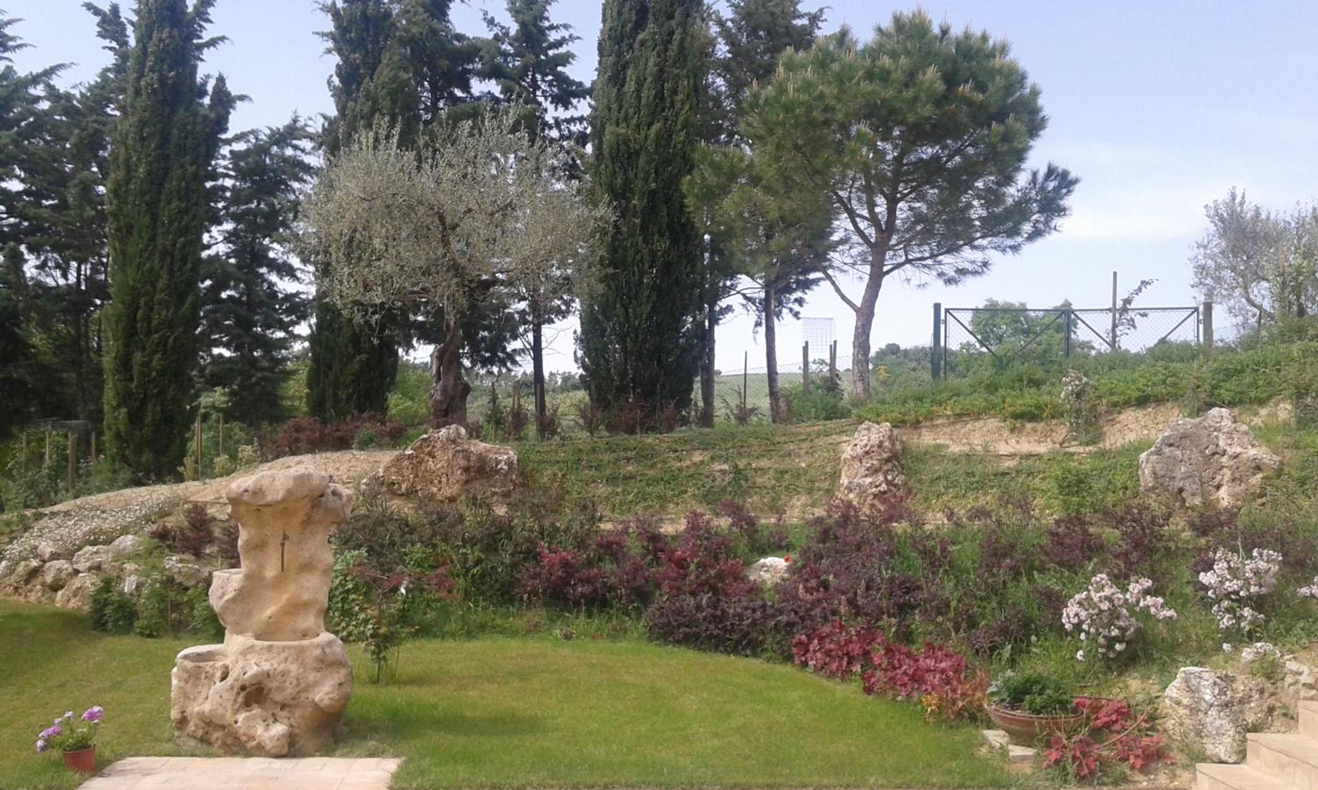Photo 21
