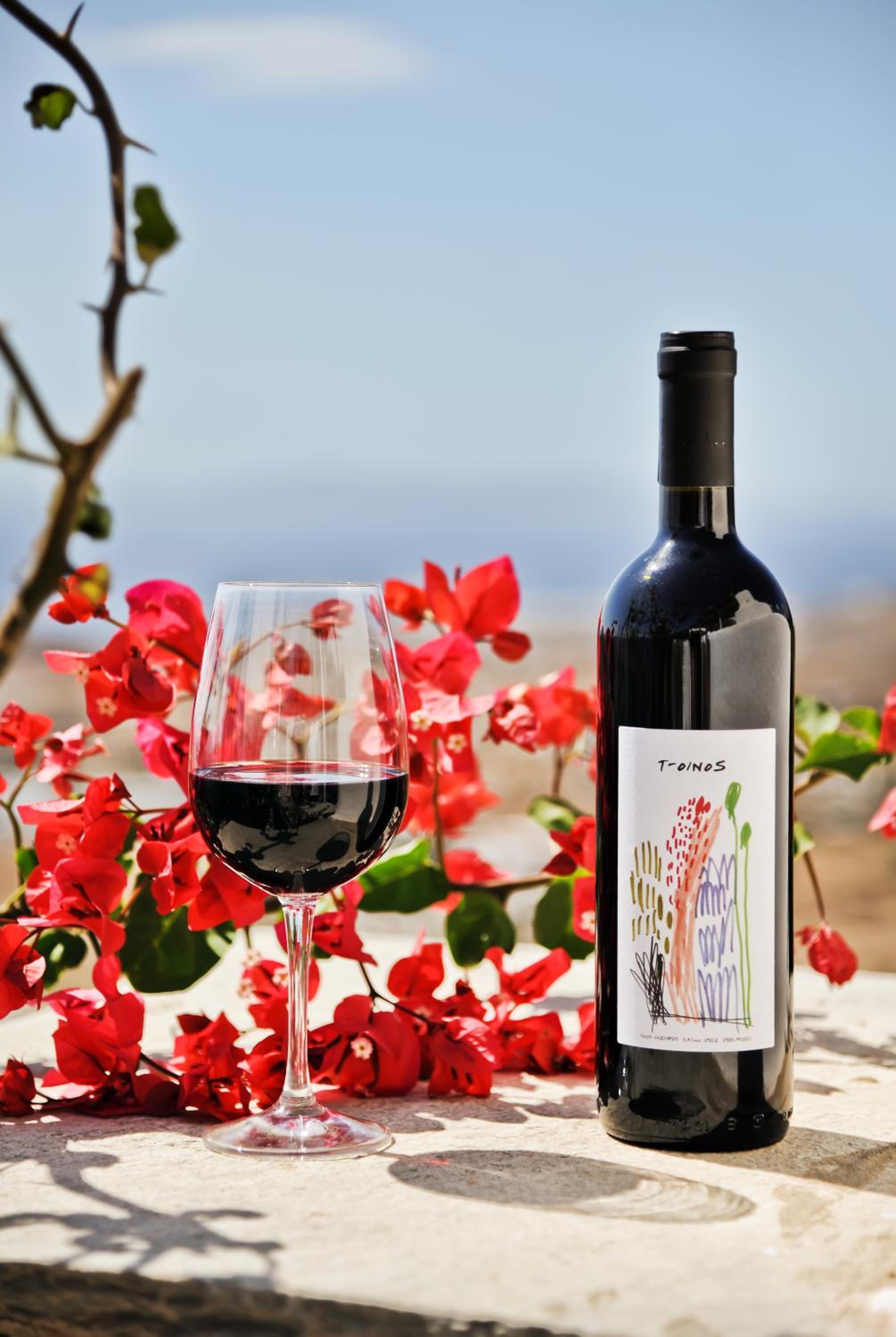 Sea View Exclusive Studios - Tinos