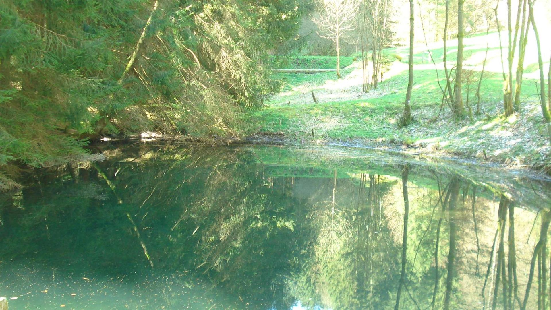 Photo 45