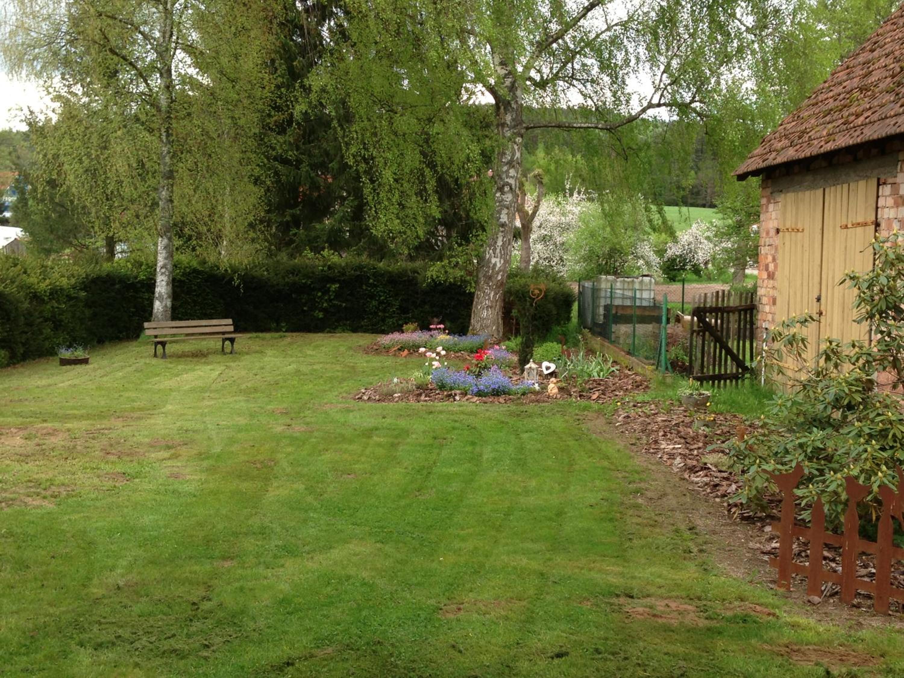 Photo 12