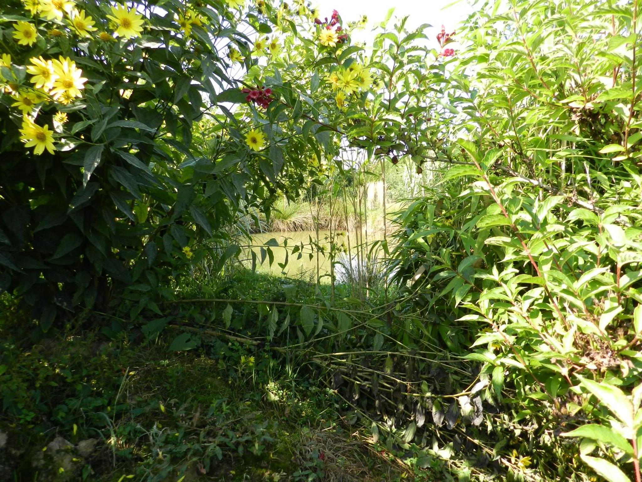 Photo 41