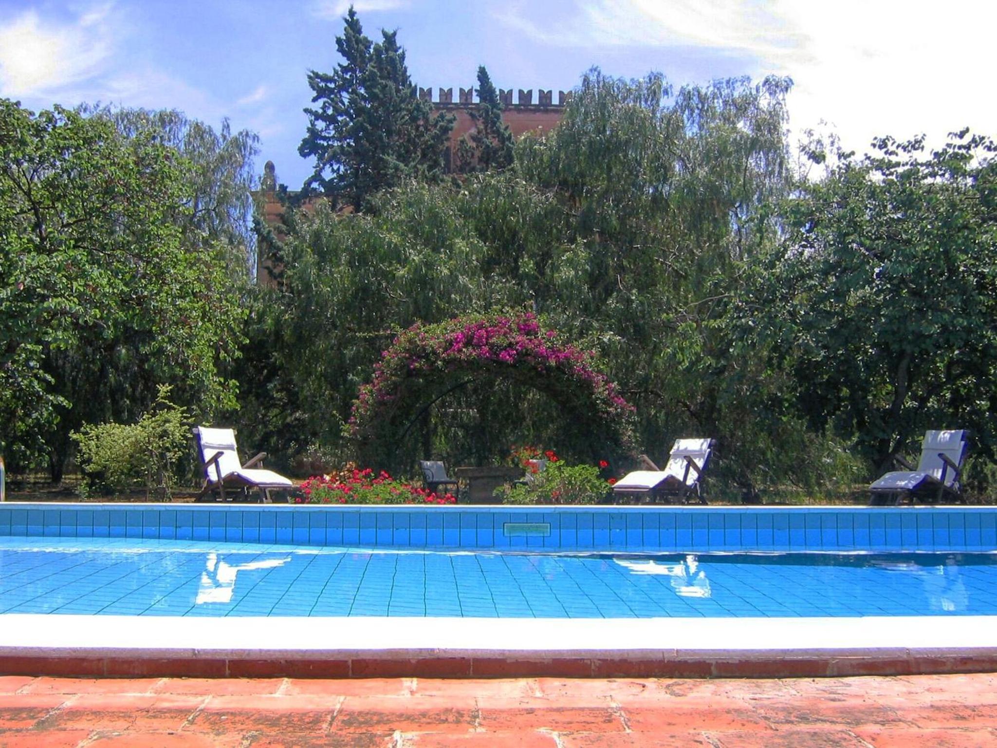 Photo 24