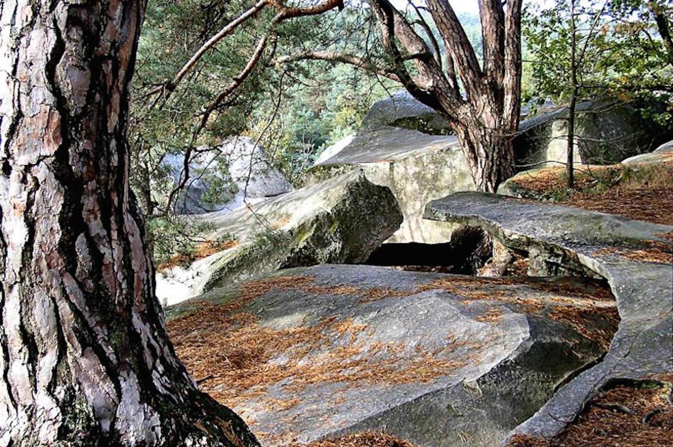 Fontainebleau Sweet Home