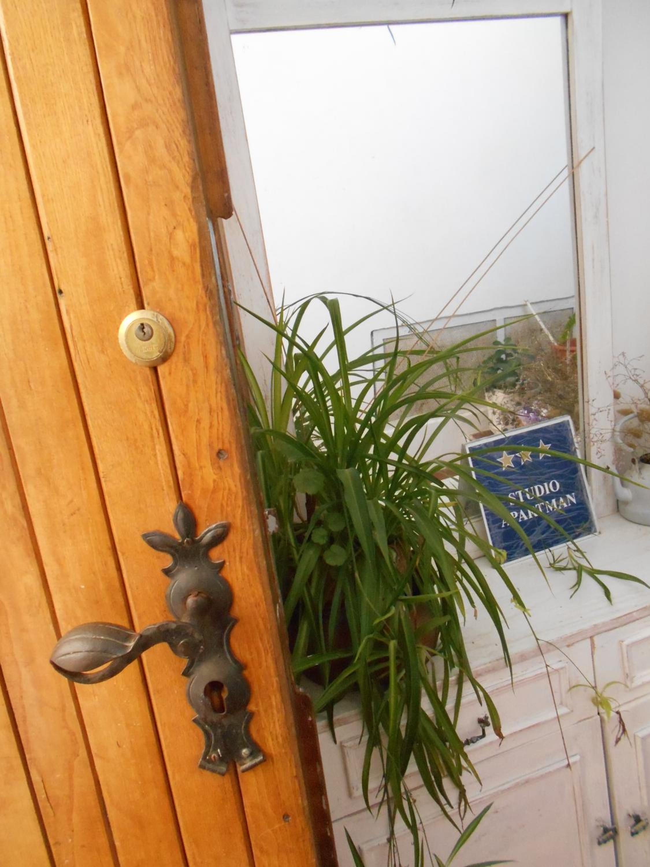 Photo 49