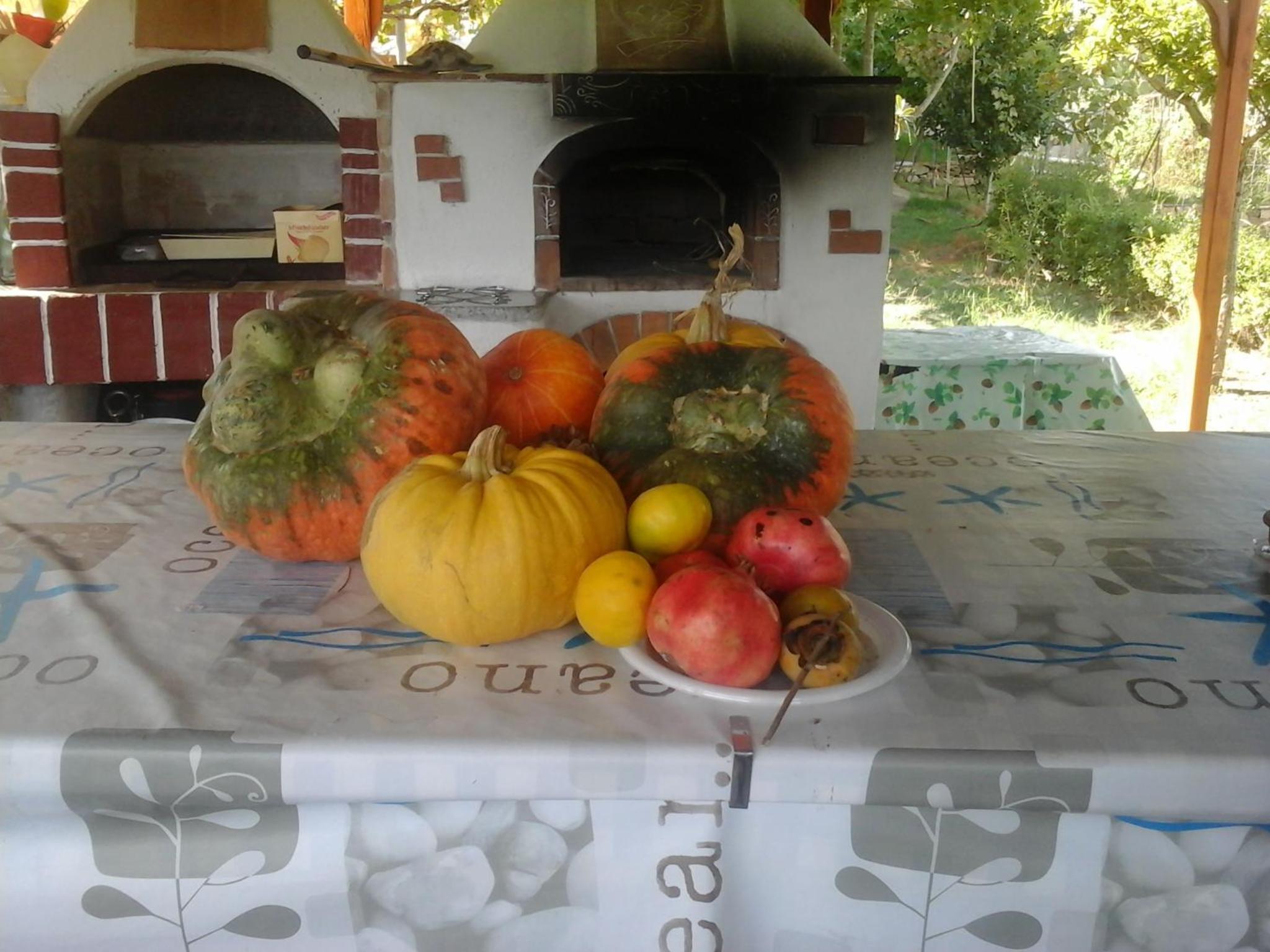 Photo 44