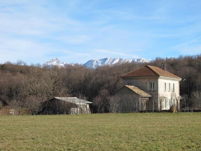 Photo 11