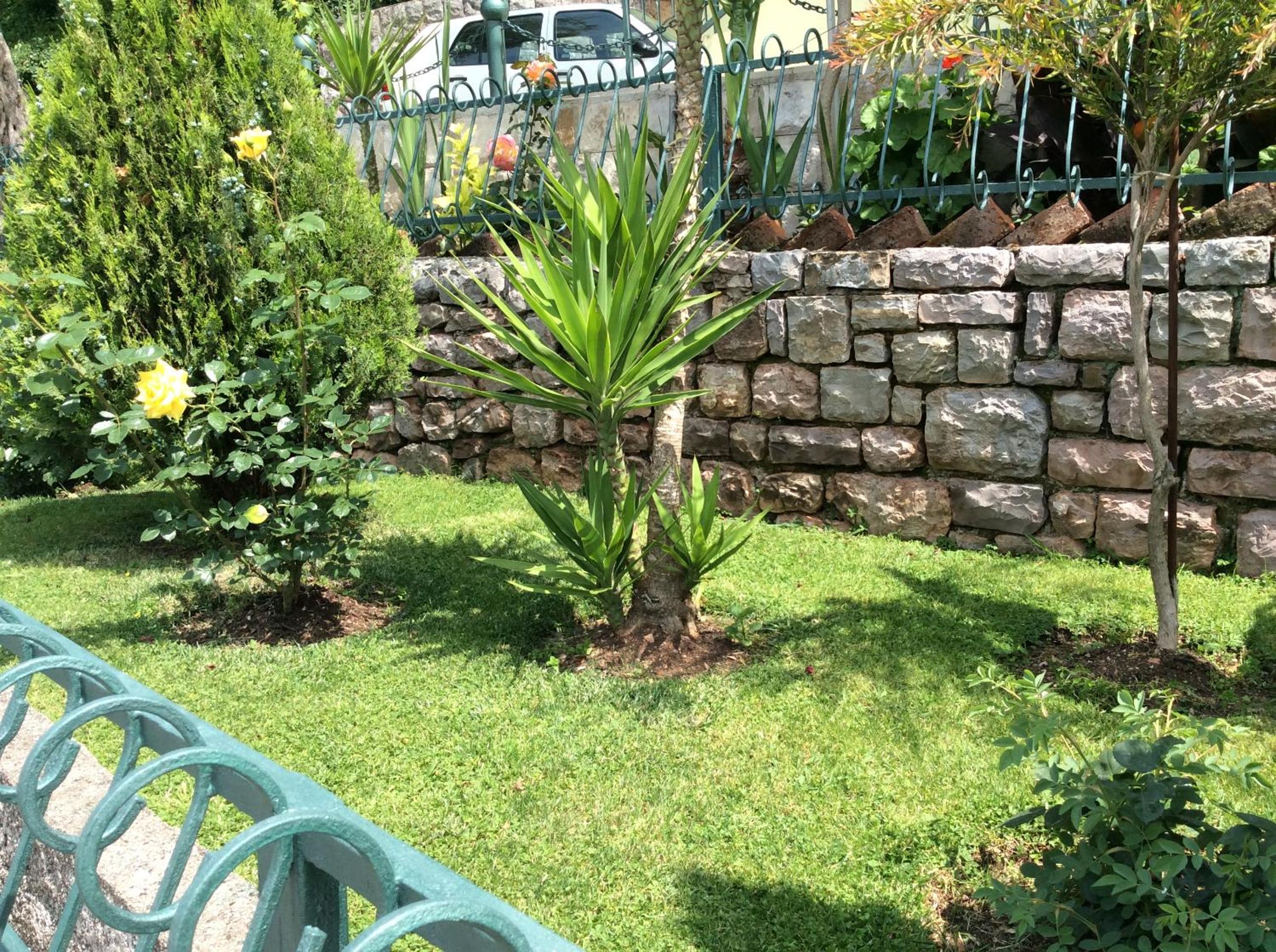 Photo 57