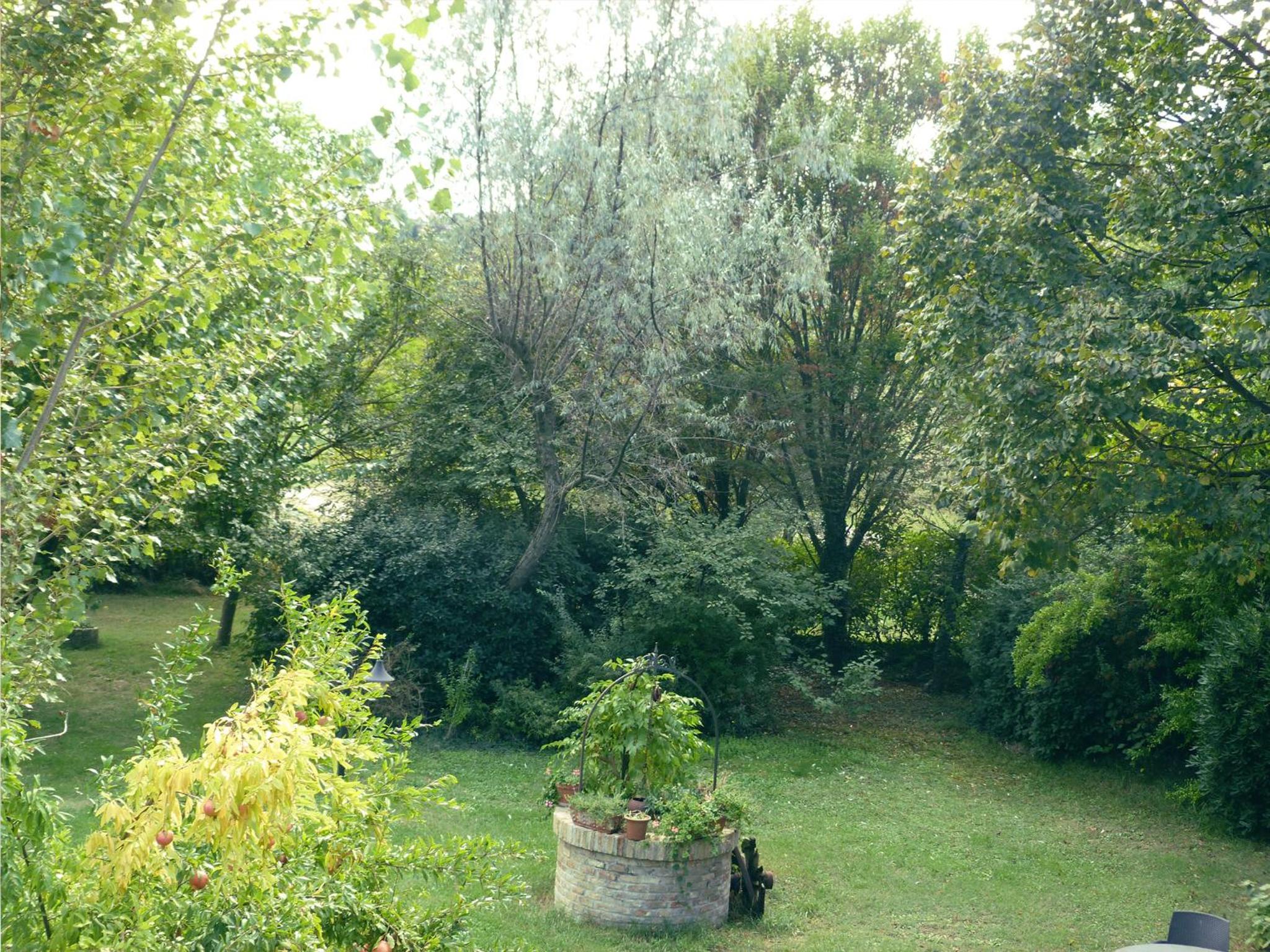 Photo 37