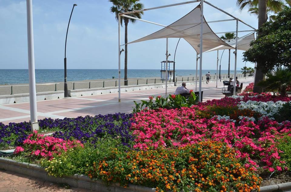 Residencial Torre Bermeja photo 4