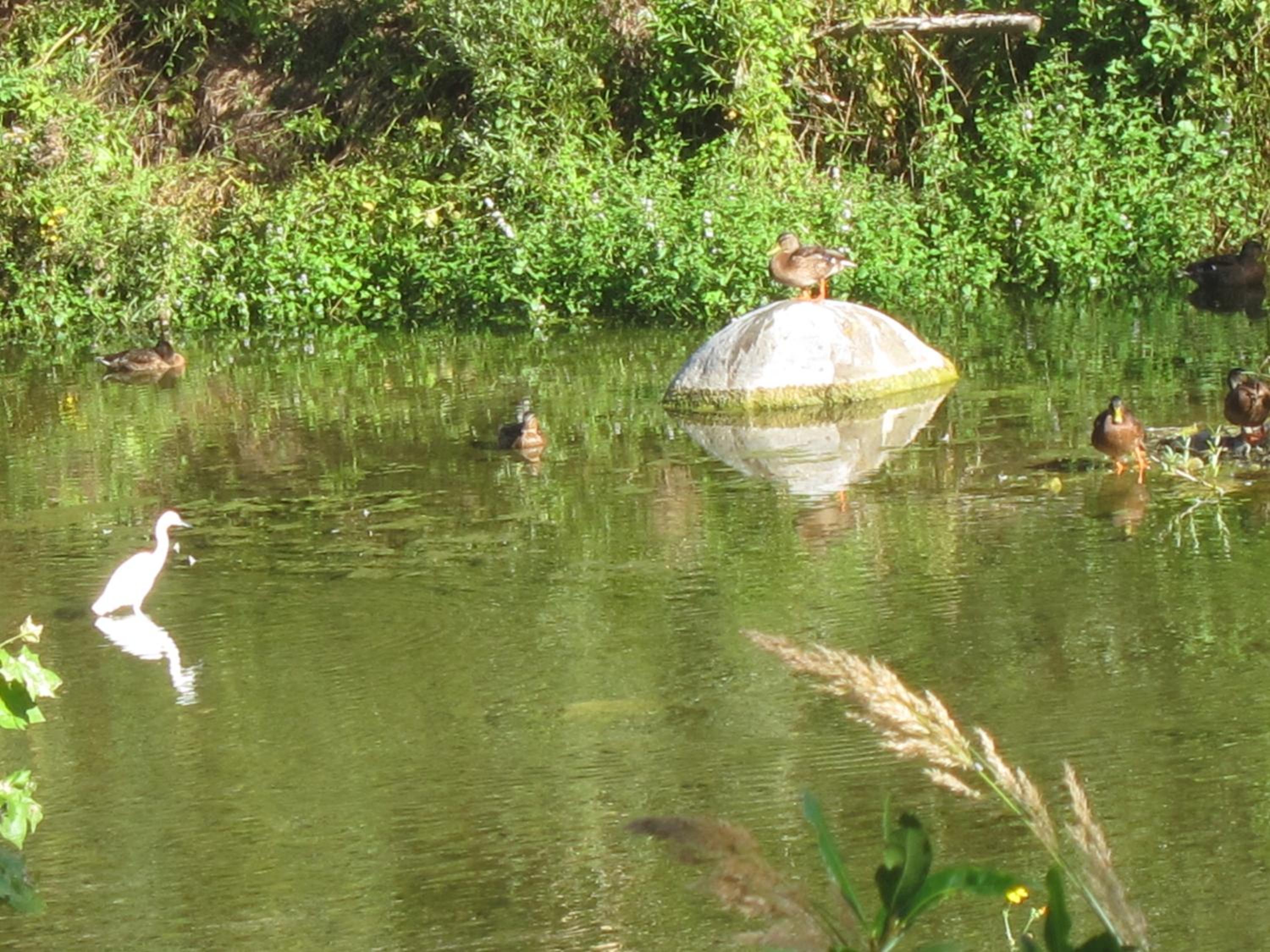 Photo 36