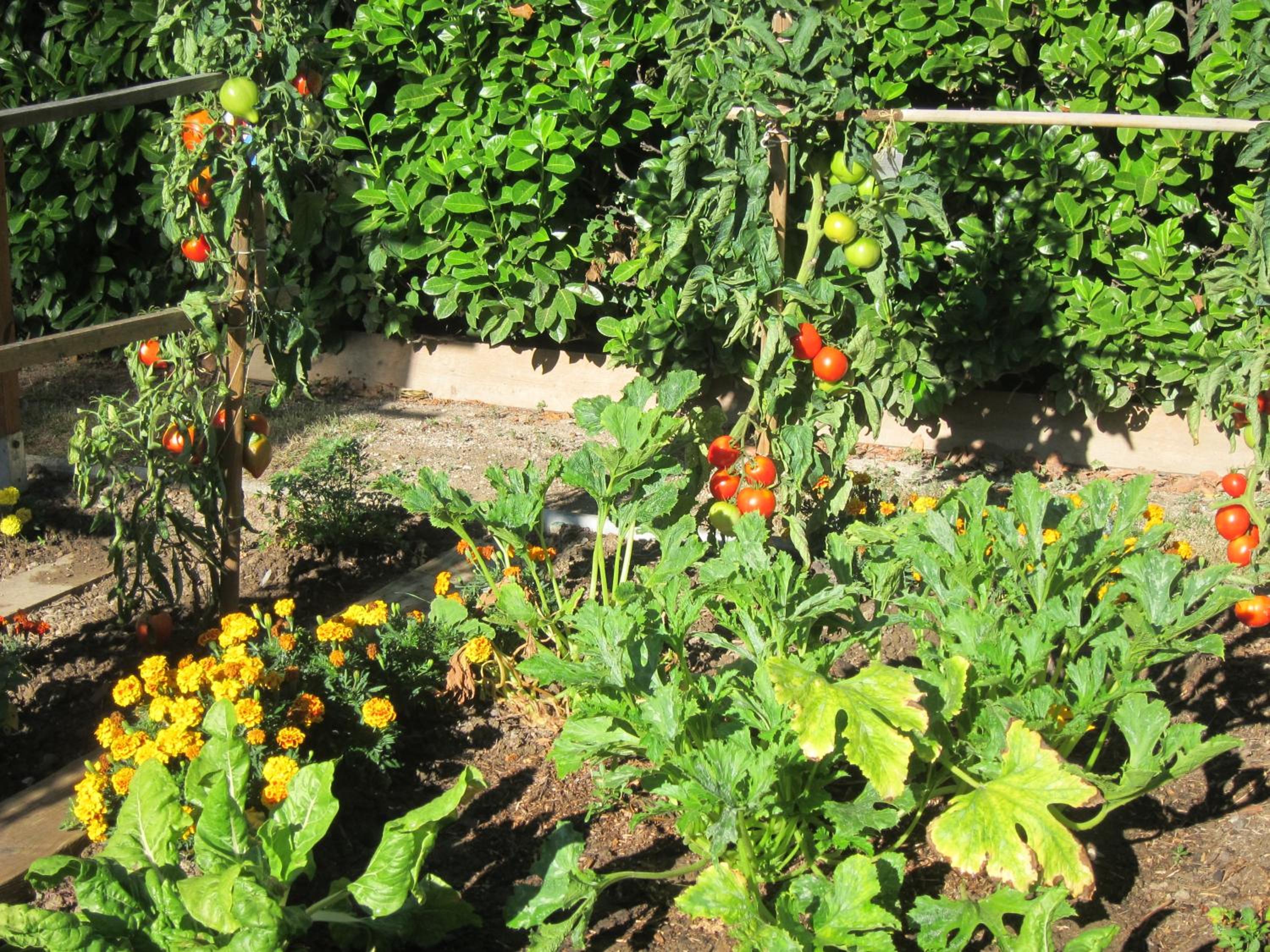 Au Verger B&B view 4