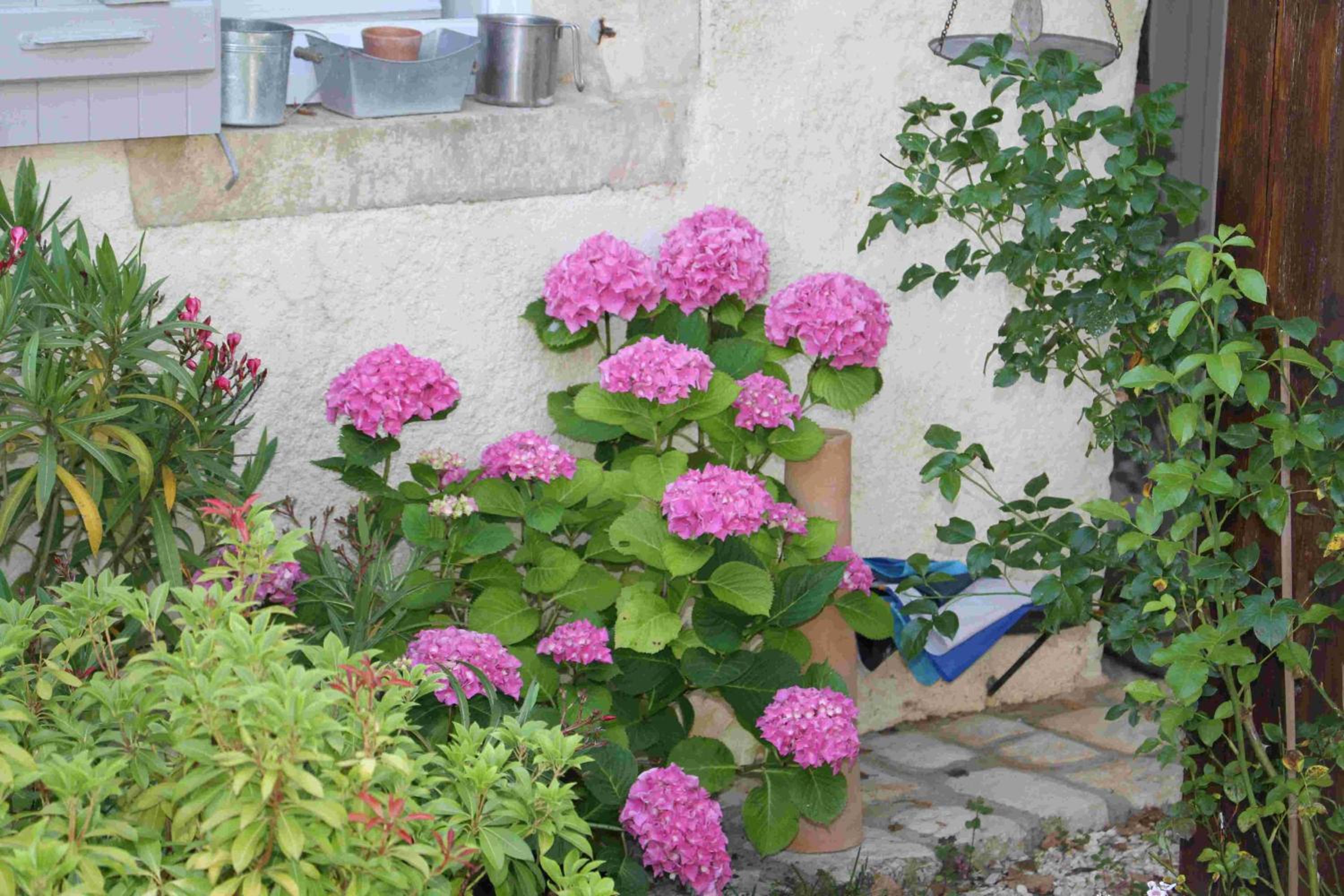 Chambres d'Hotes Le Logis du Port Paradis - Property Image 15