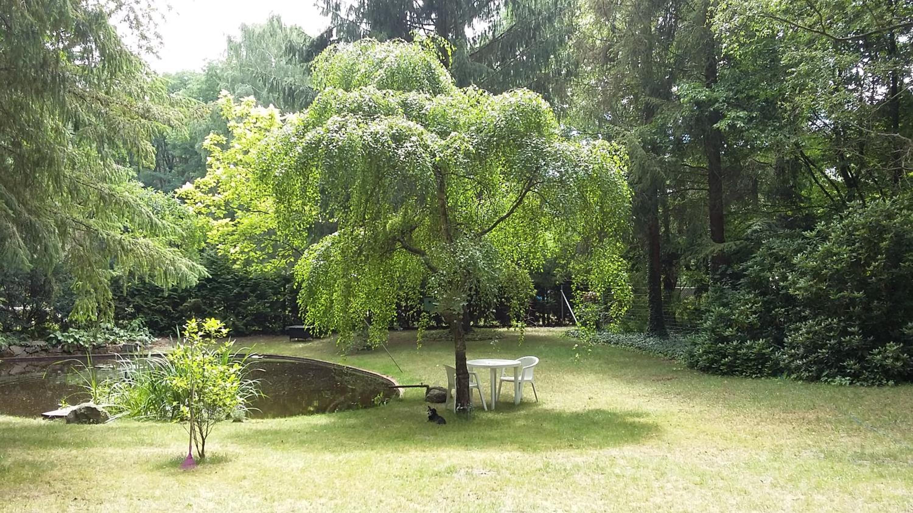 Ferienidyll Alte Eichen