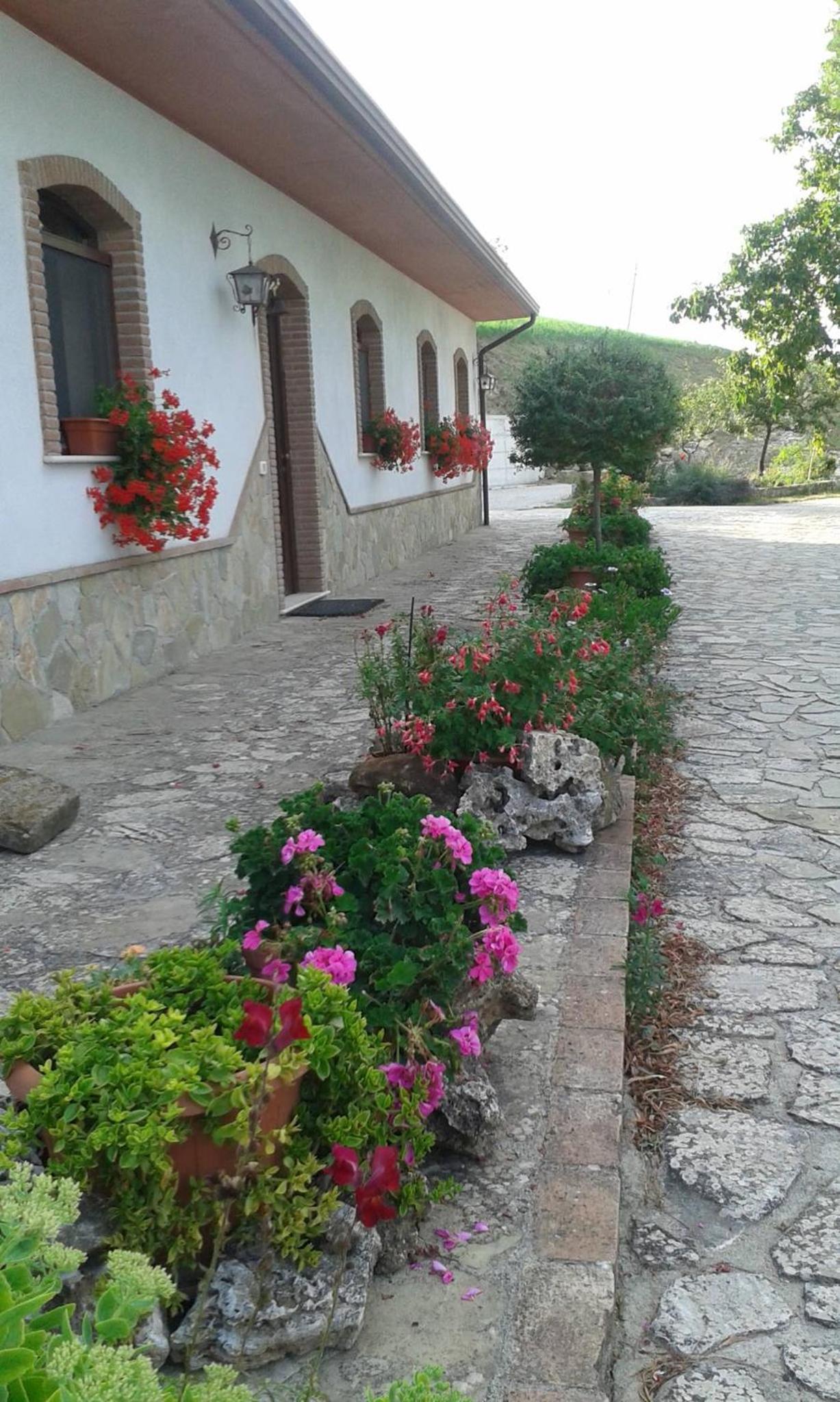 Photo 23