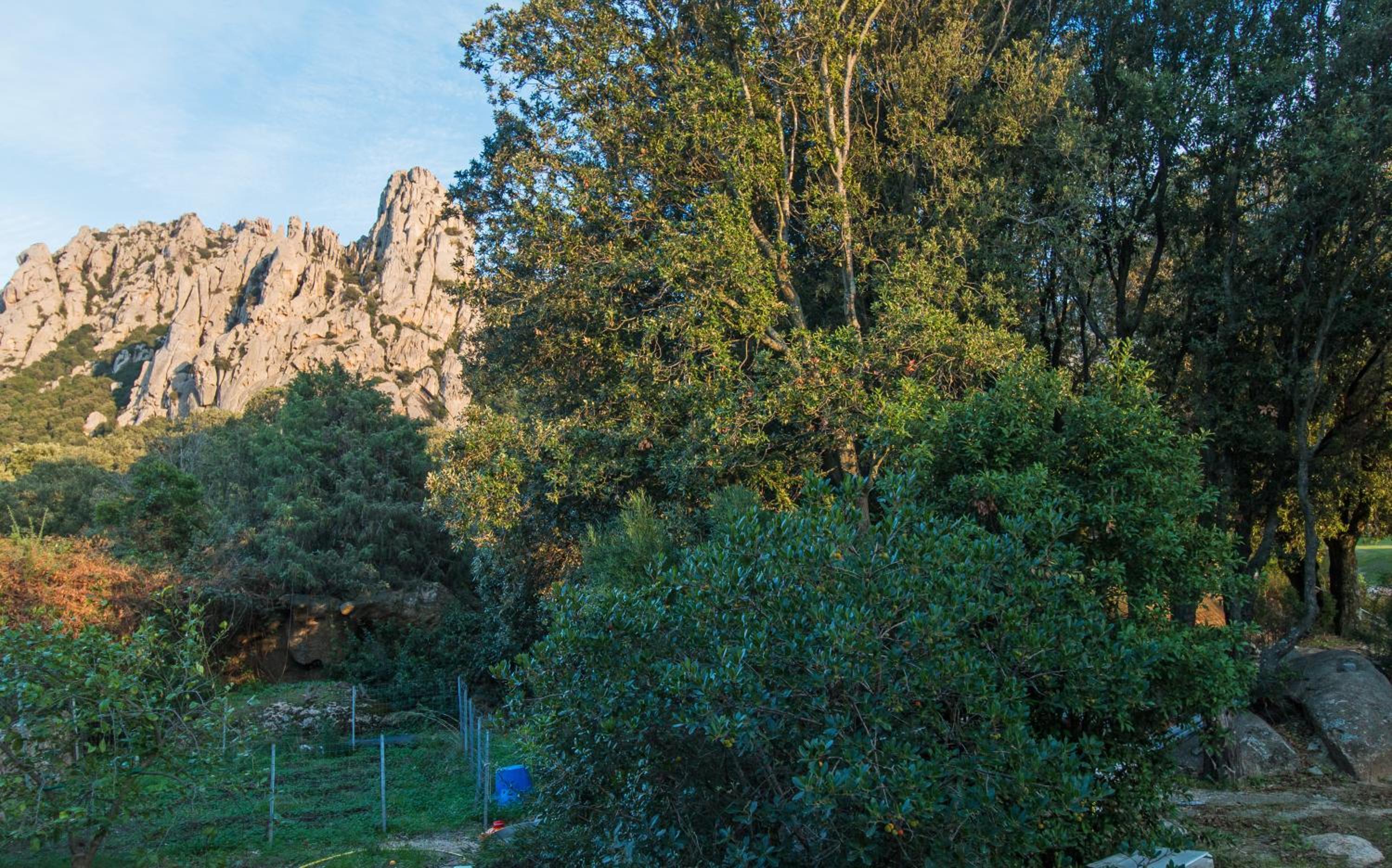 Casa vacanze San Pantaleo view 3