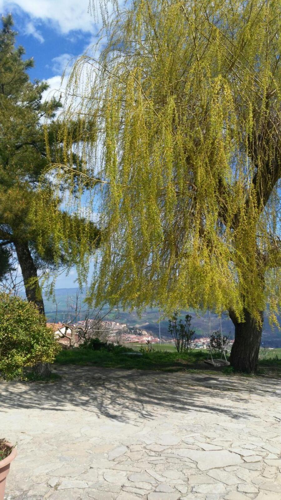 Agriturismo Il Regio Tratturo view 4