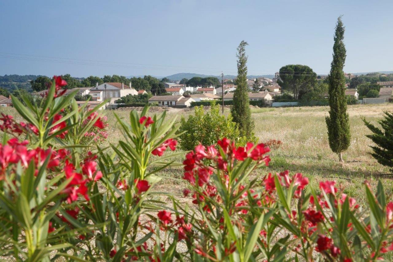 Château De Massignan