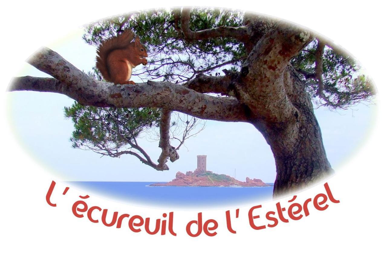 L'Ecureuil de l'Estérel view 3