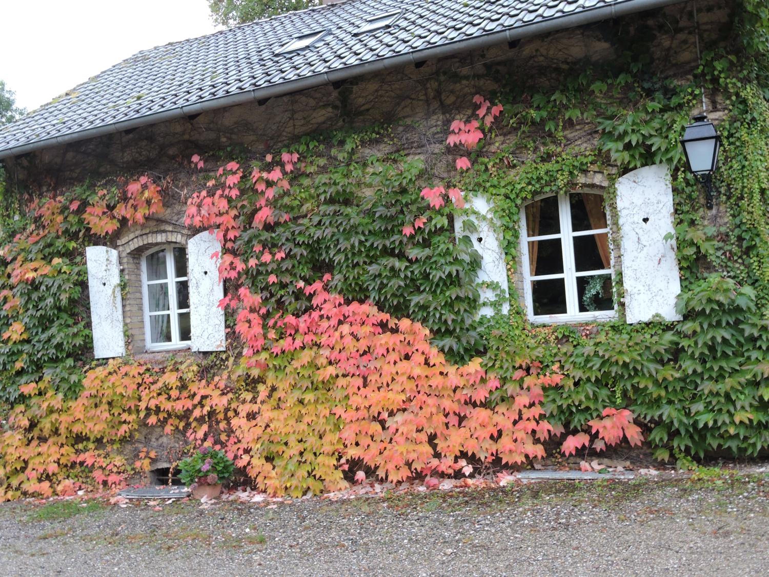 Photo 40