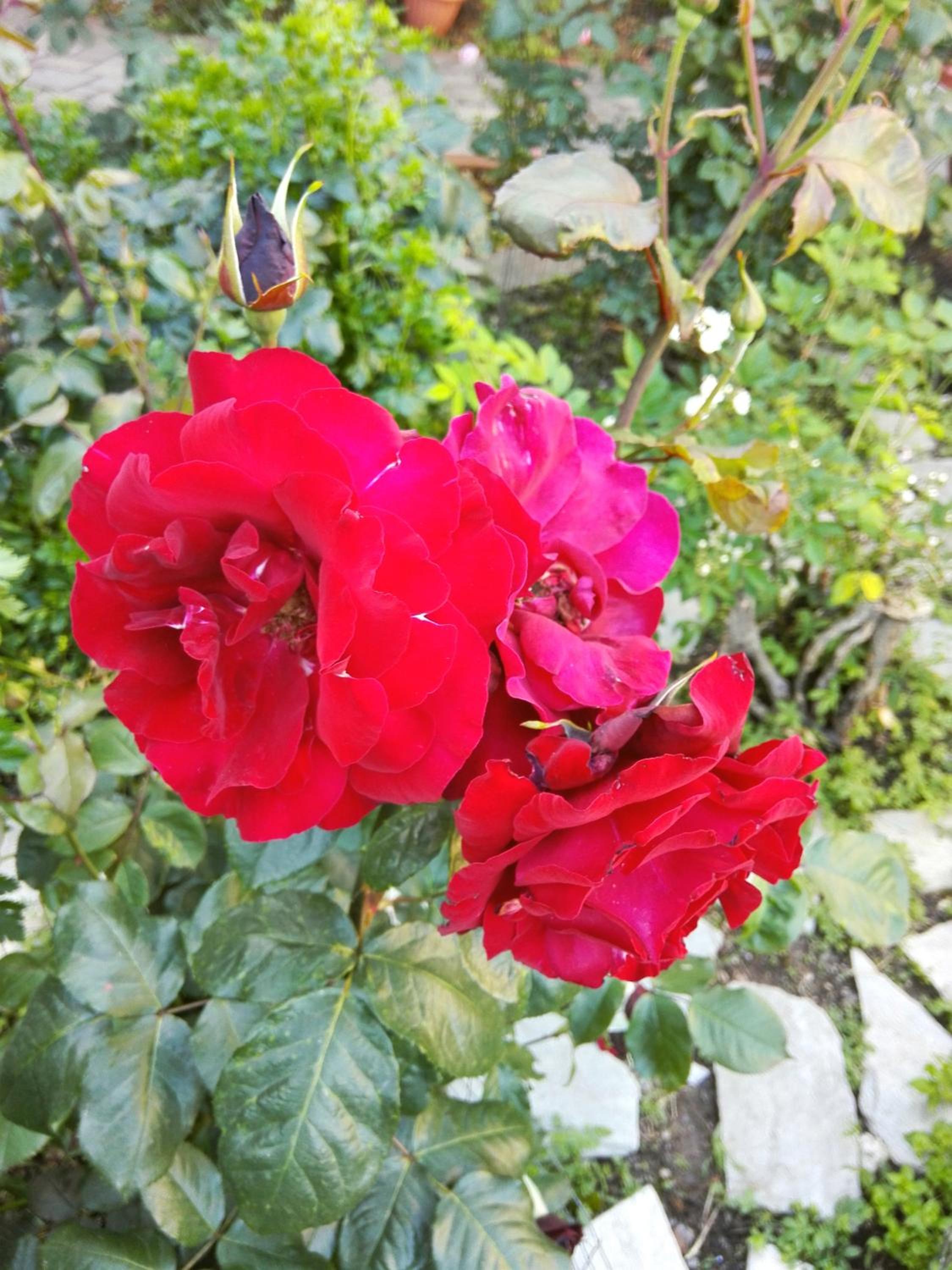 Photo 23