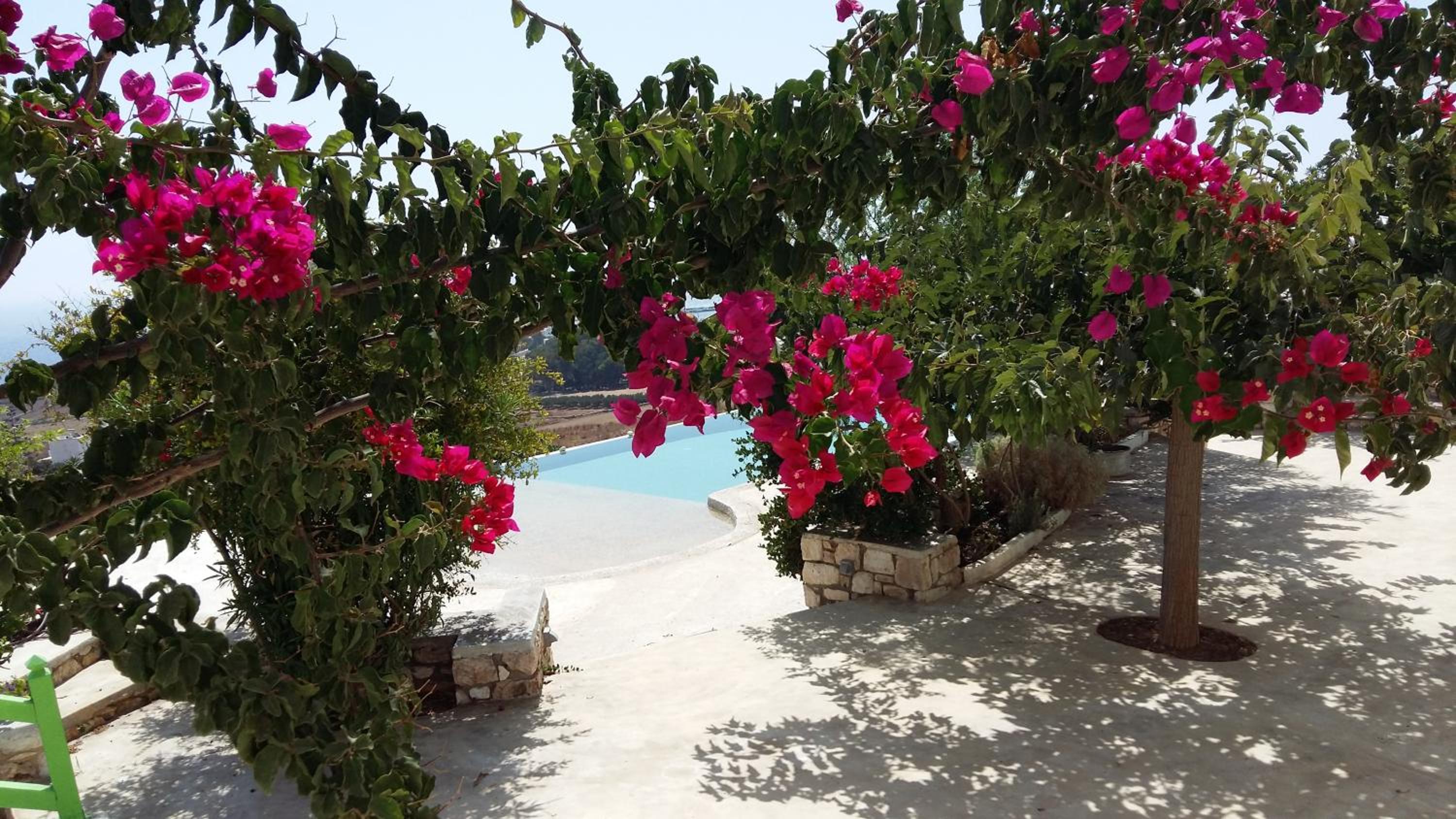 Villa Armonia