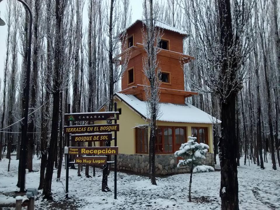 Terrazas En El Bosque Cabañas