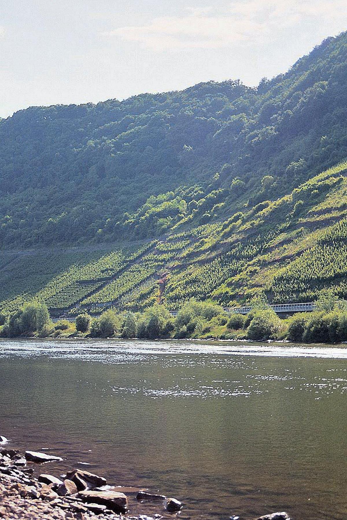 Pension Doren - Property Image 7