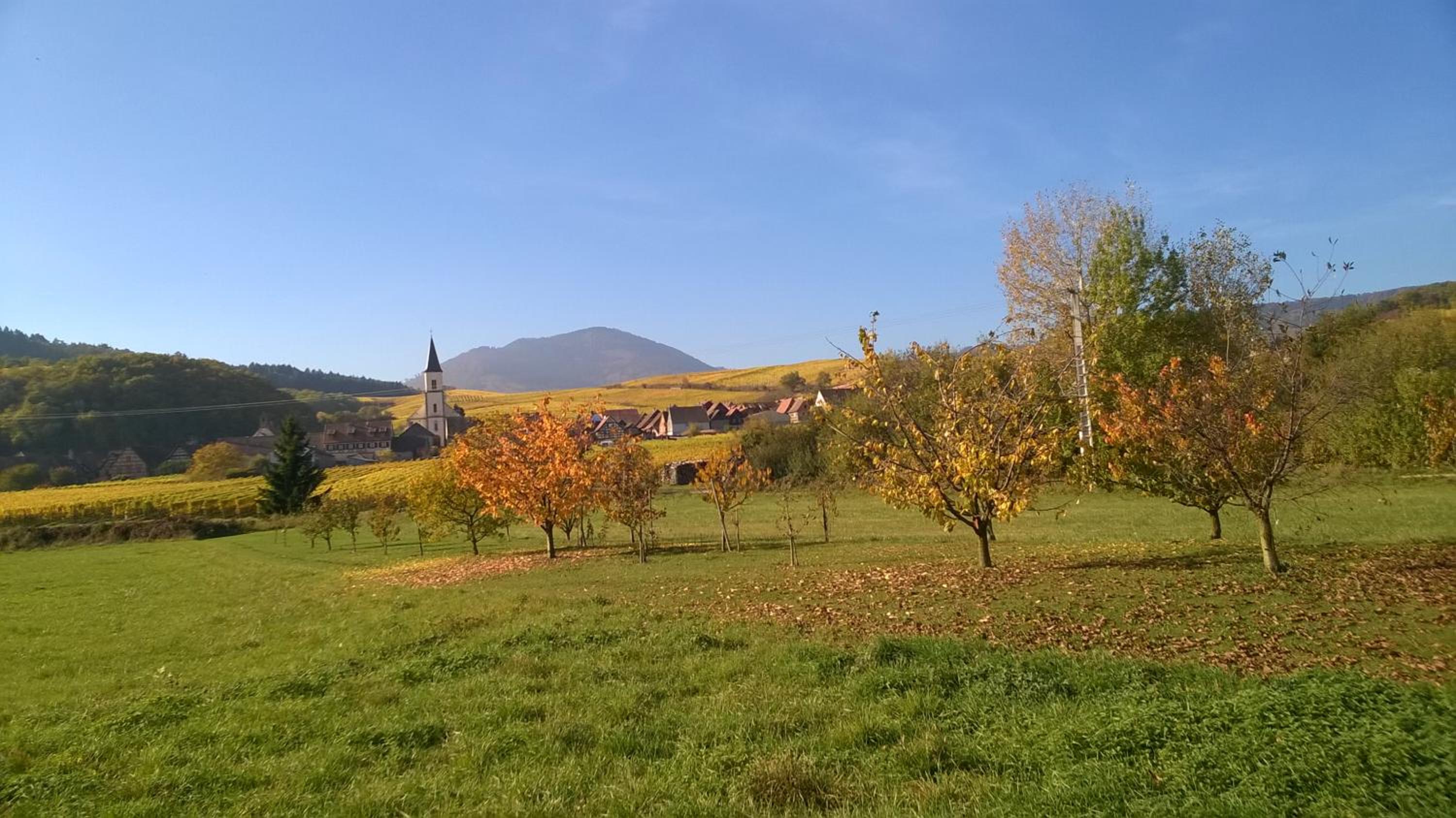Chez Yolande view 3