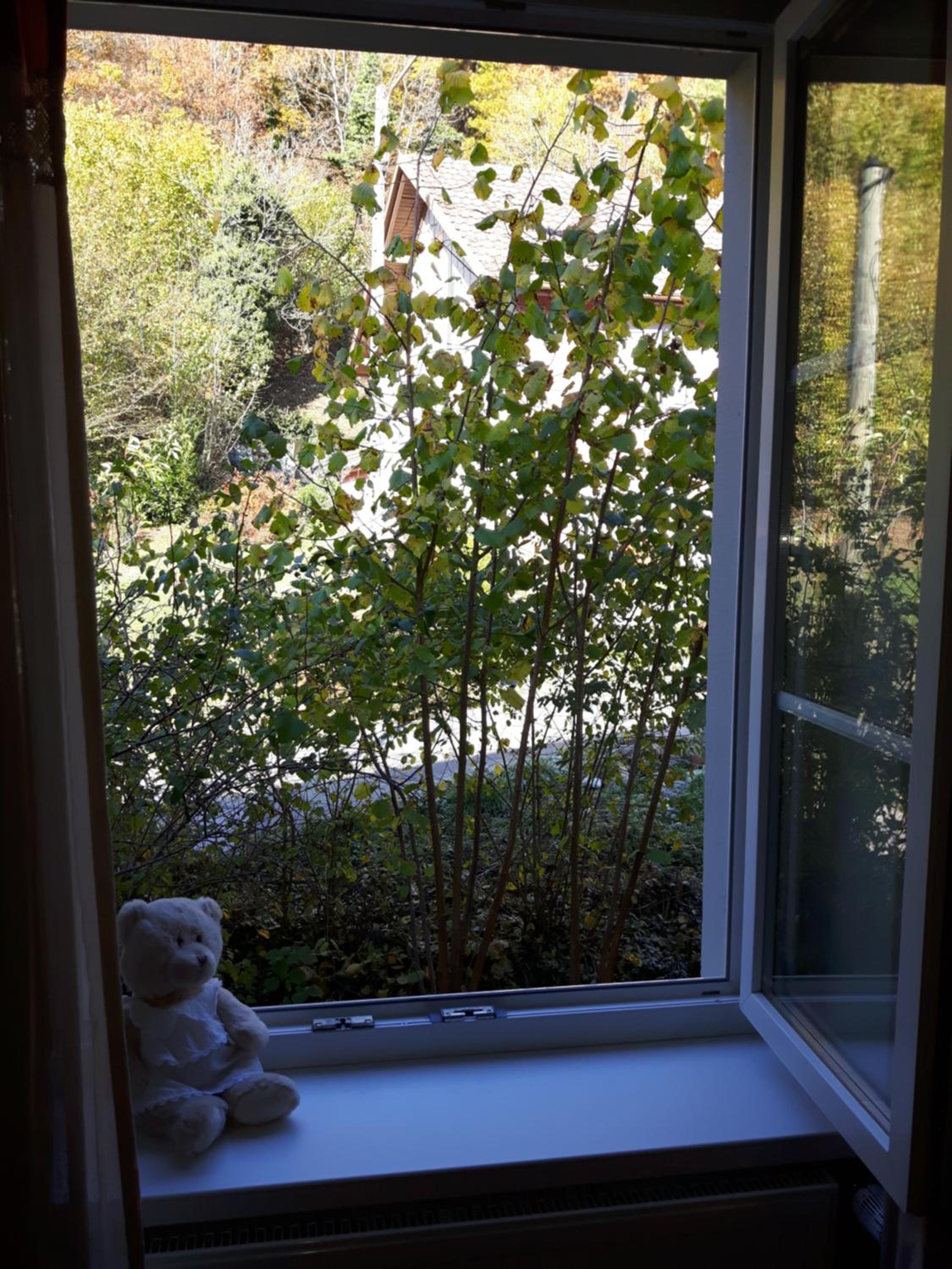 Photo 49