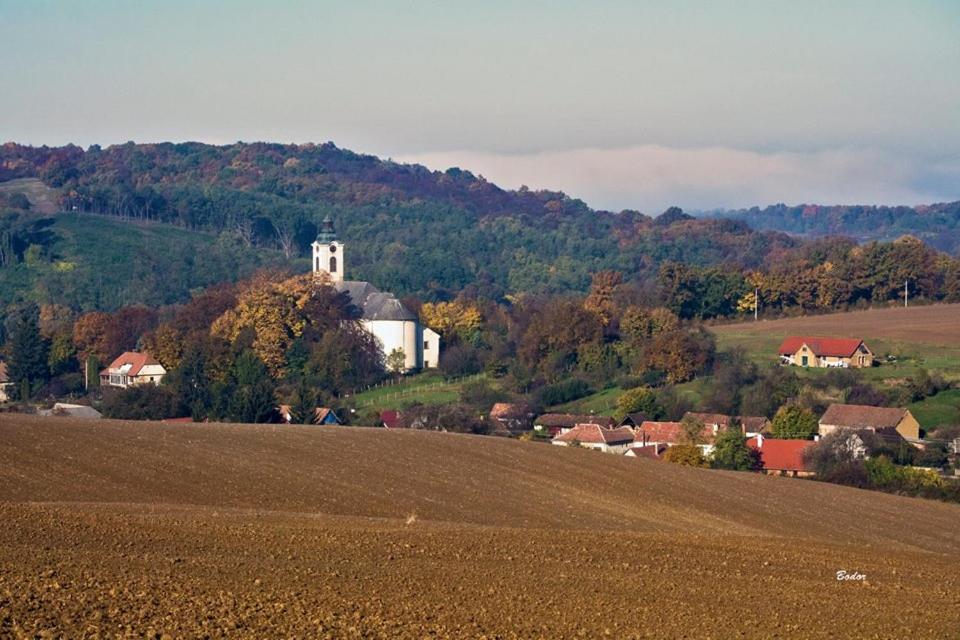Cseppkő Panzió