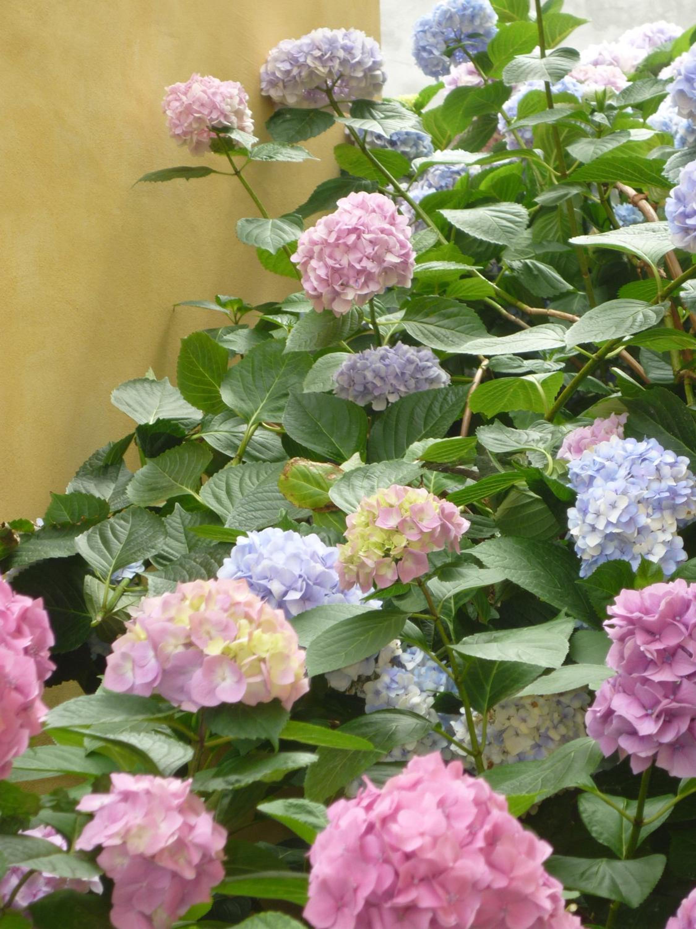 Photo 45