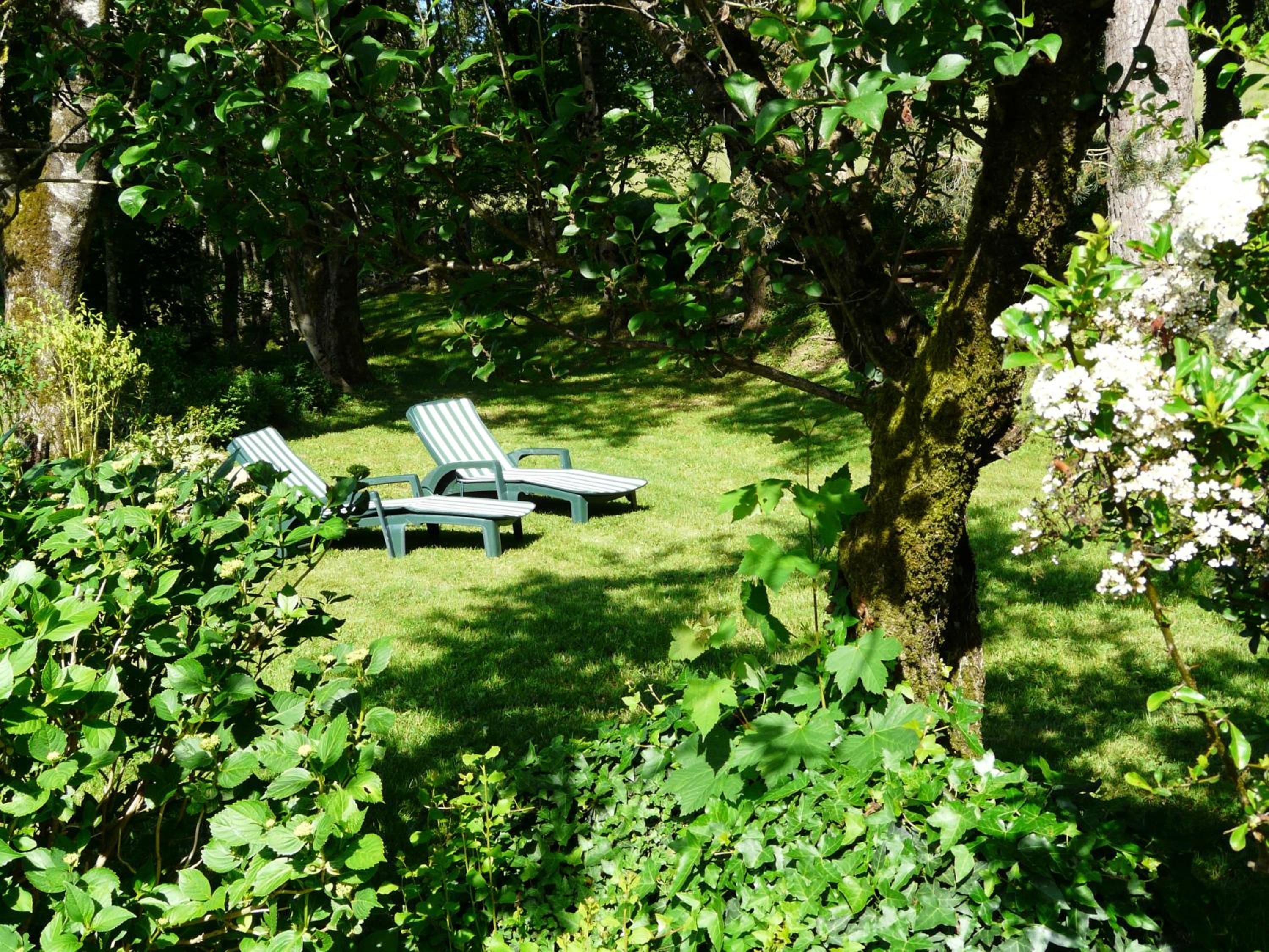 Chambre d'hôtes Puech Noly view 4