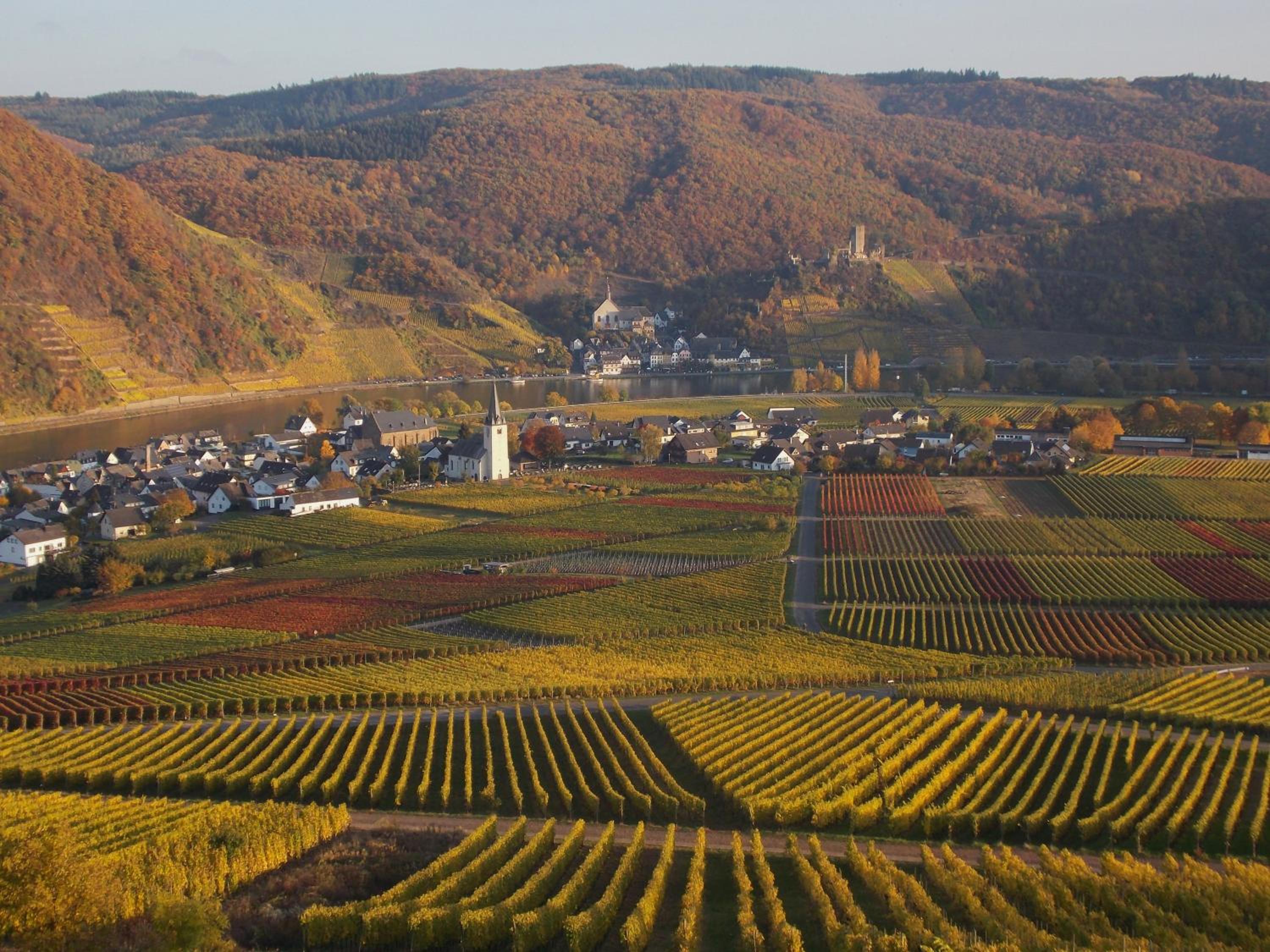 Weingut im Moselkrampen