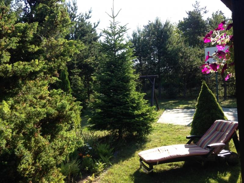 Family House Gowidlino view 5