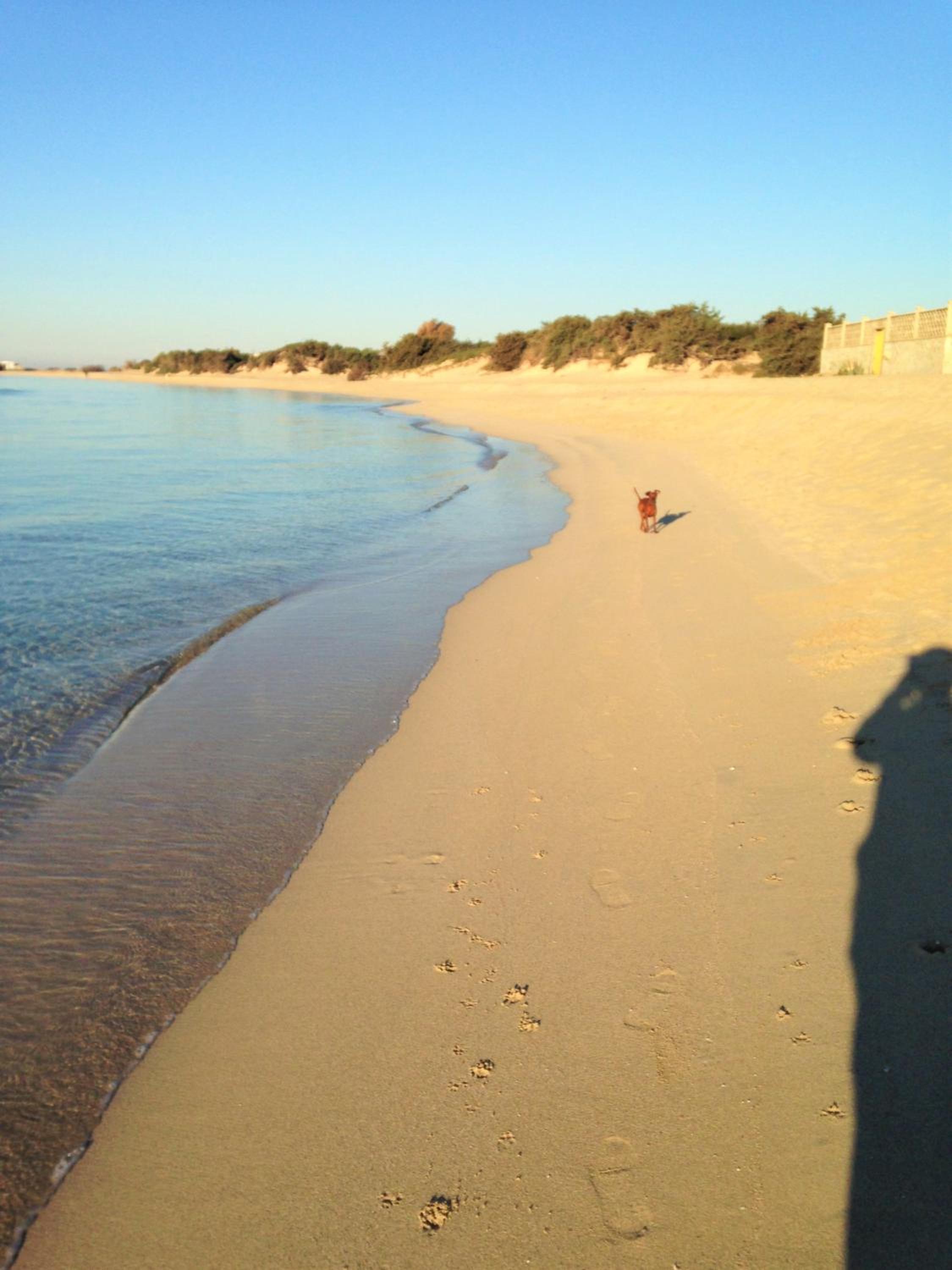Photo 45