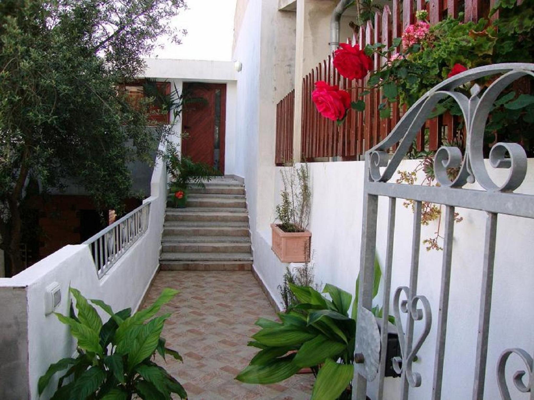 Photo 24