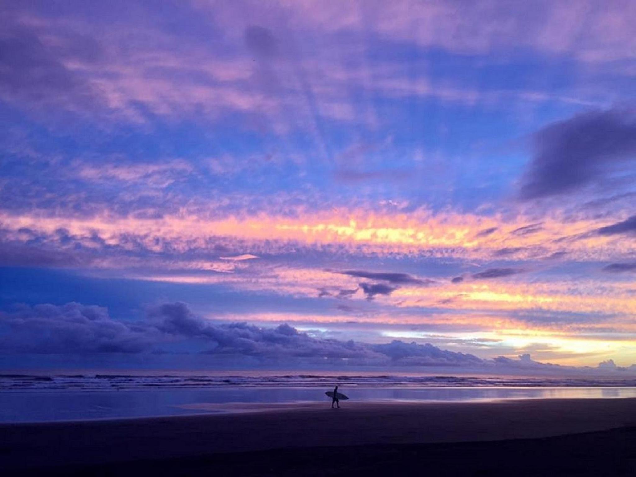 Hotel Down by the Sea Beachfront Studio - Image 1