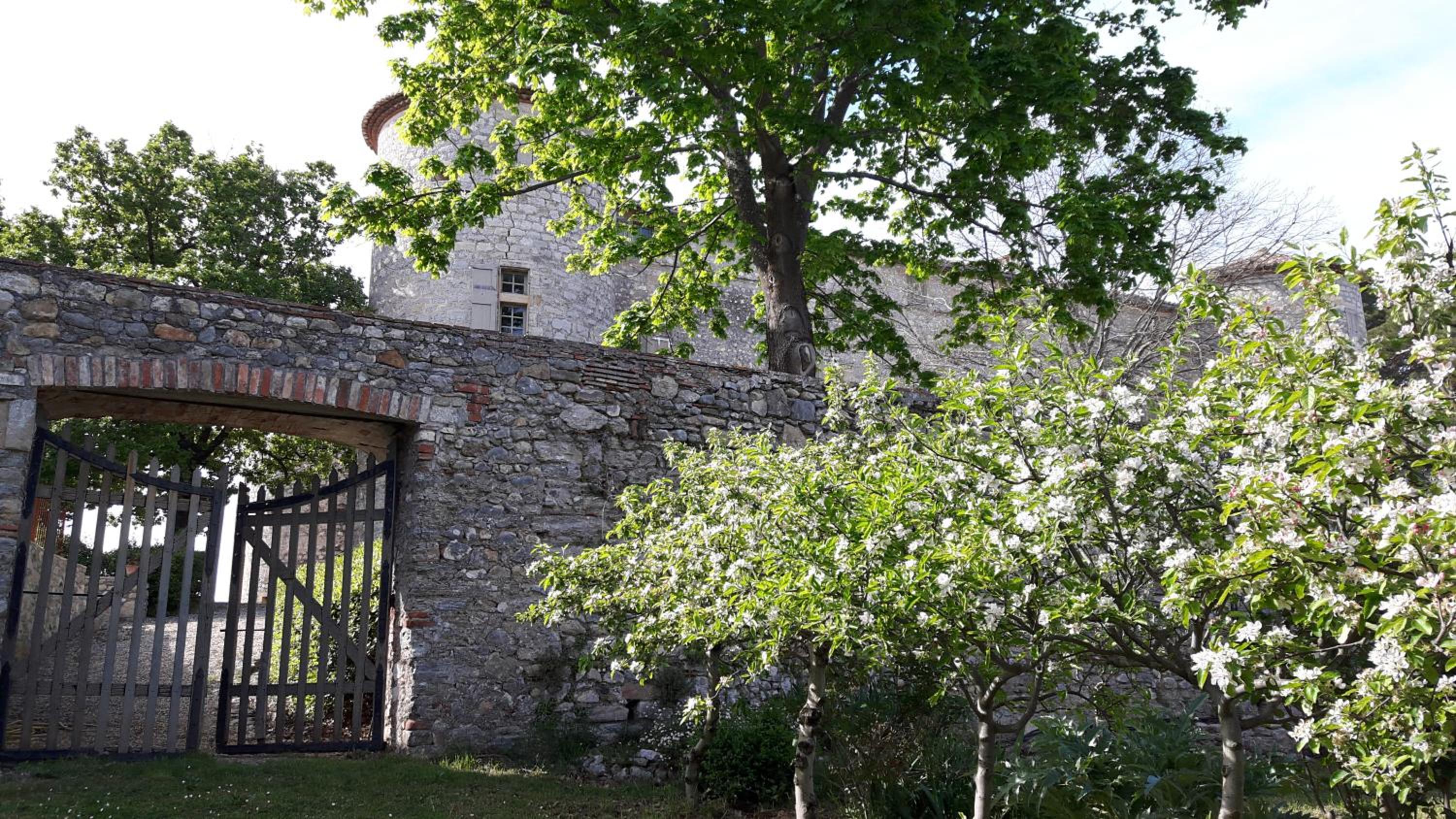 Photo 21