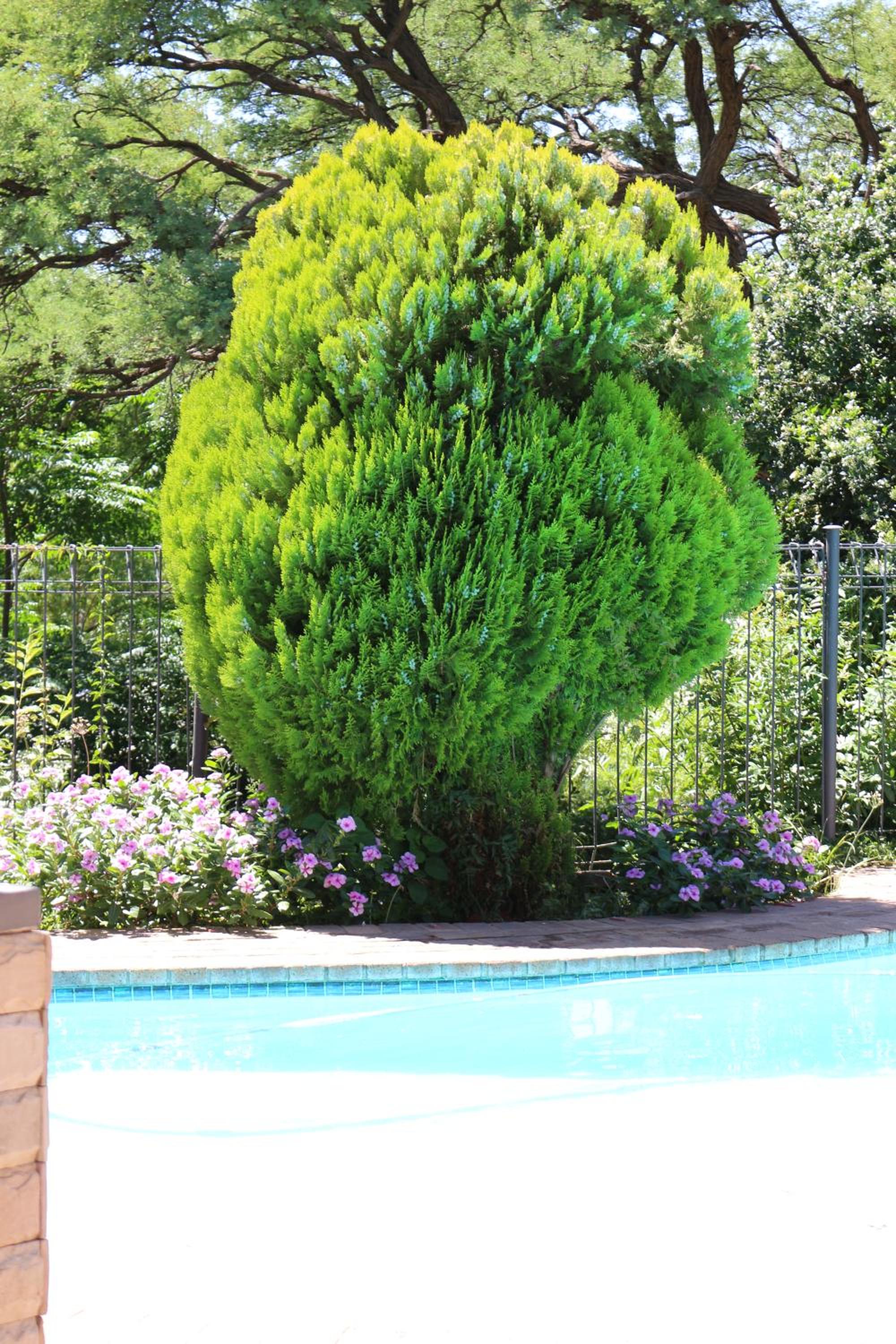 Photo 15